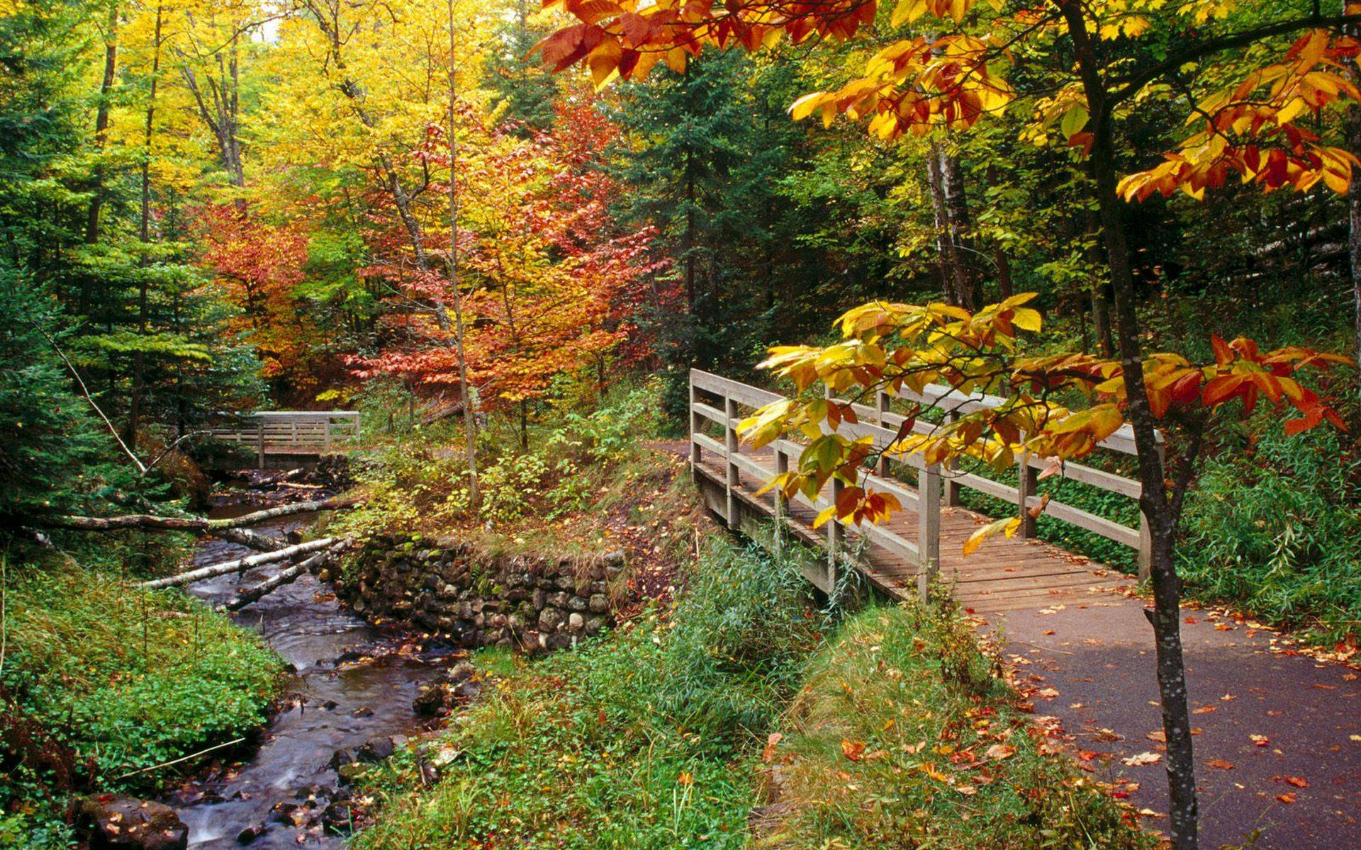 Autumn Mountain Stream Wallpapers