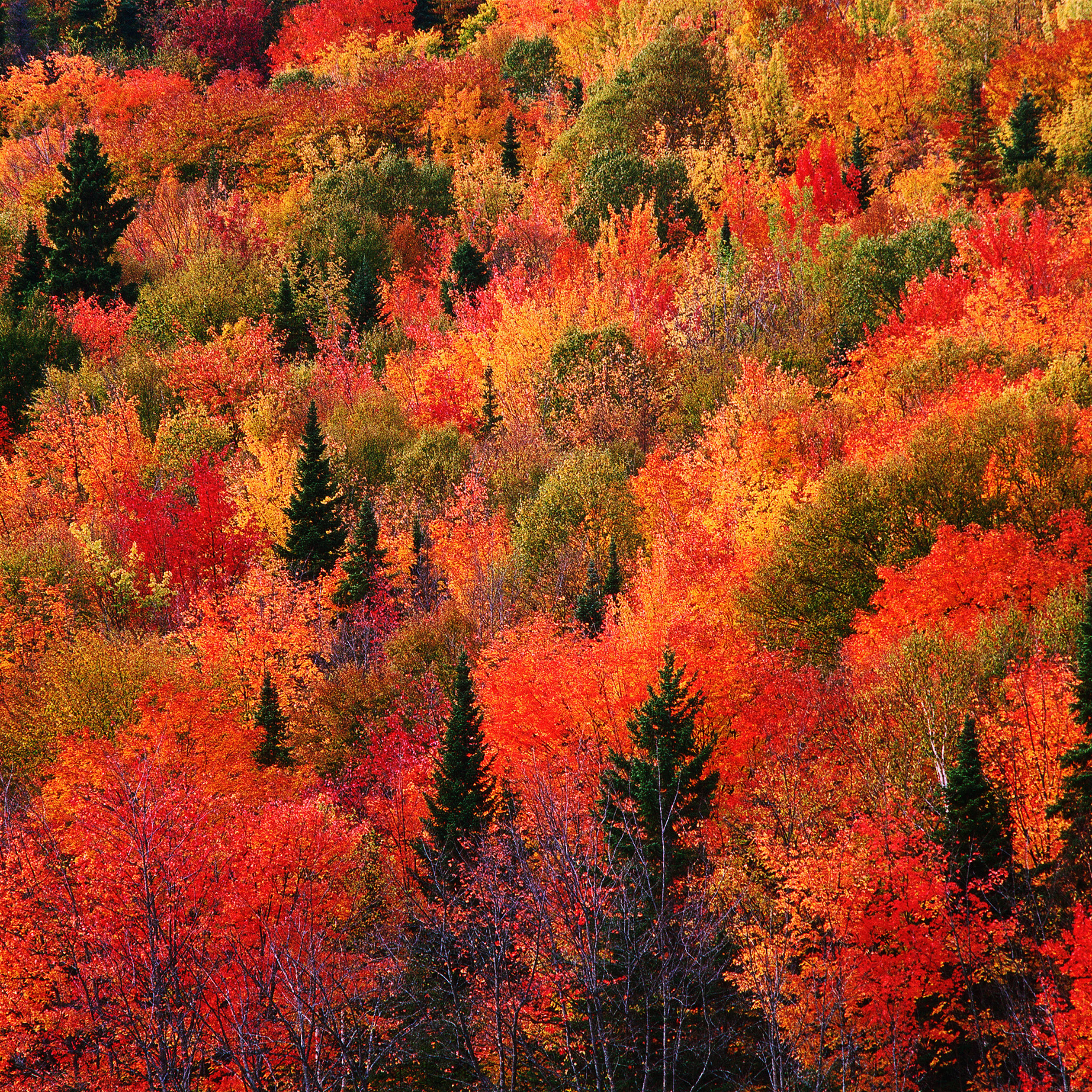 Autumn Mountain Wallpapers