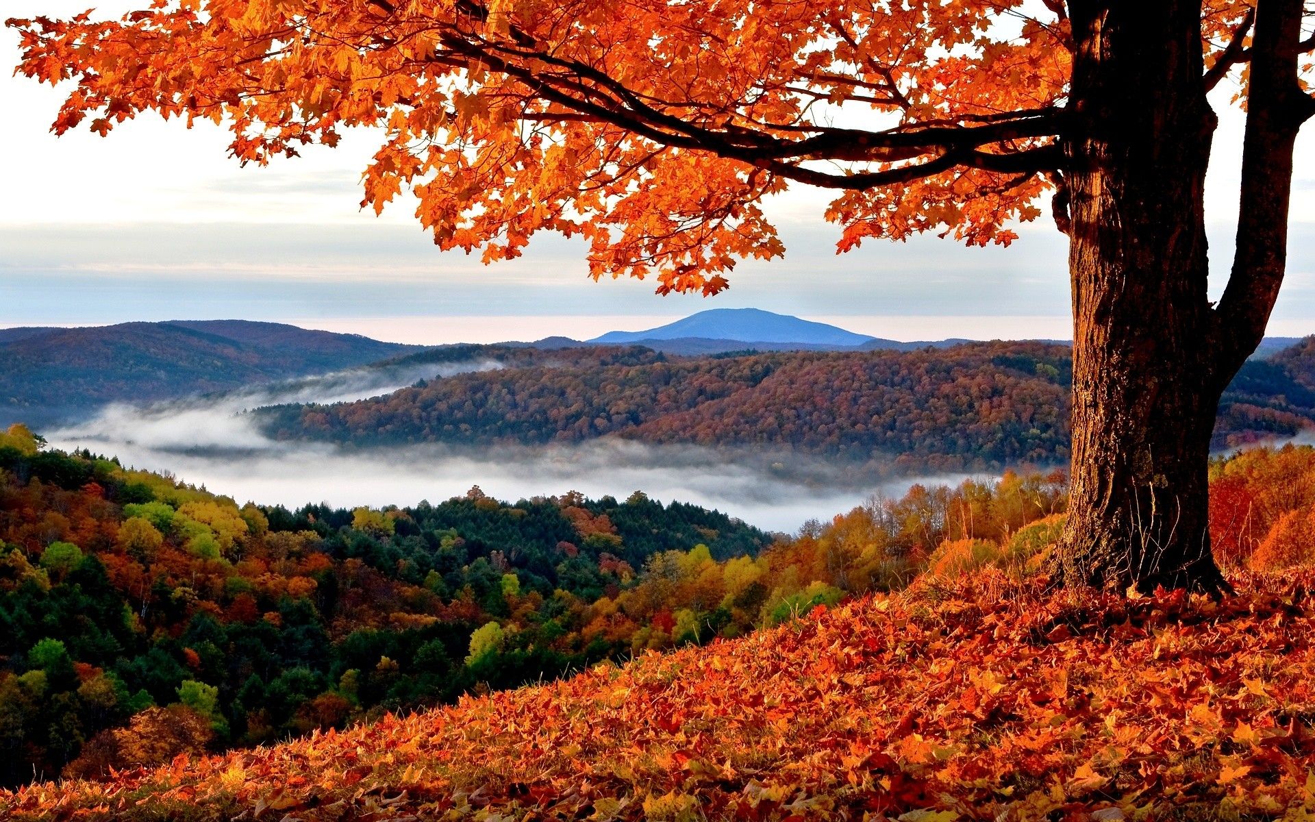 Autumn Mountains Desktop Wallpapers