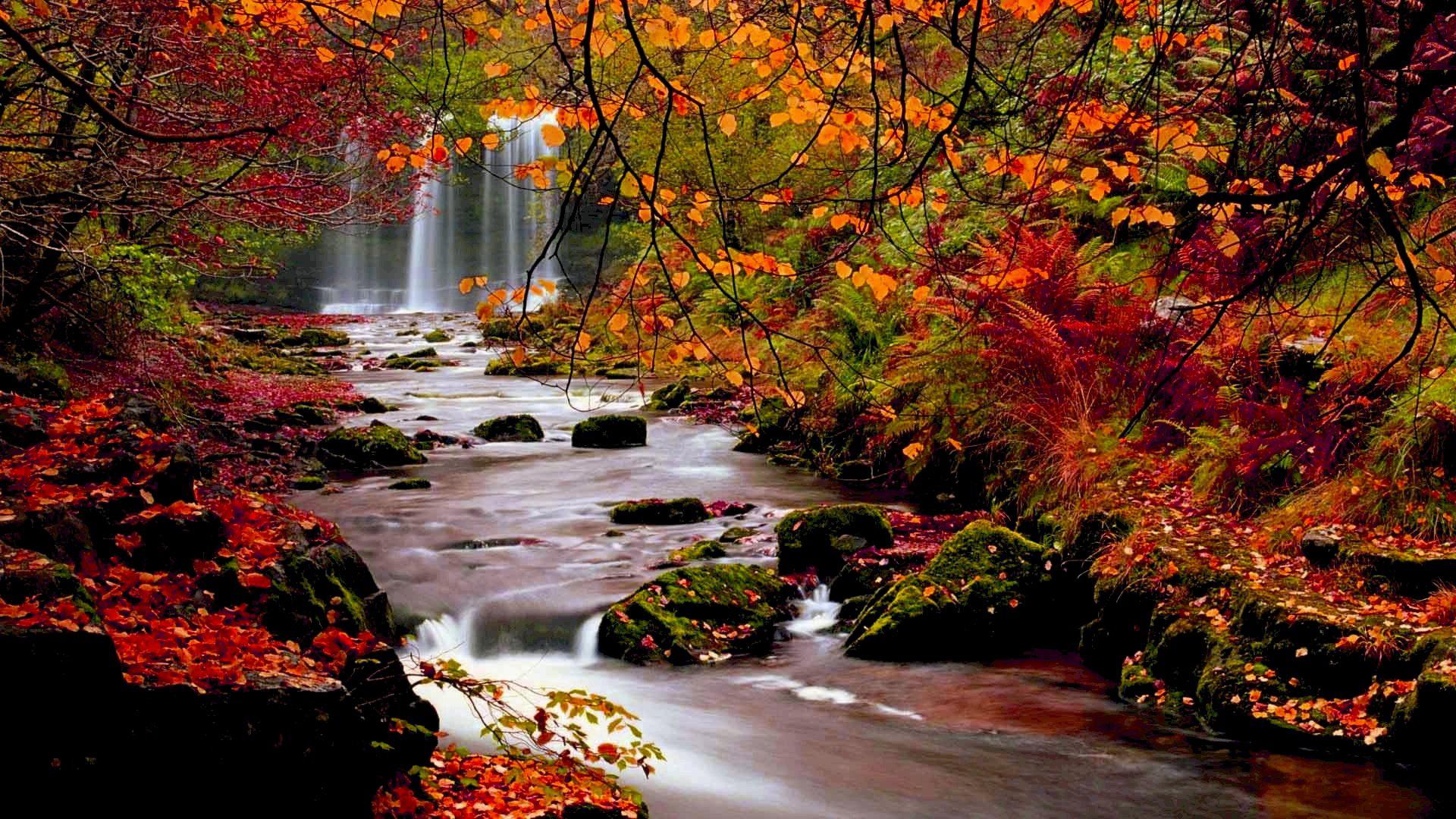 Autumn Nature Desktop Wallpapers