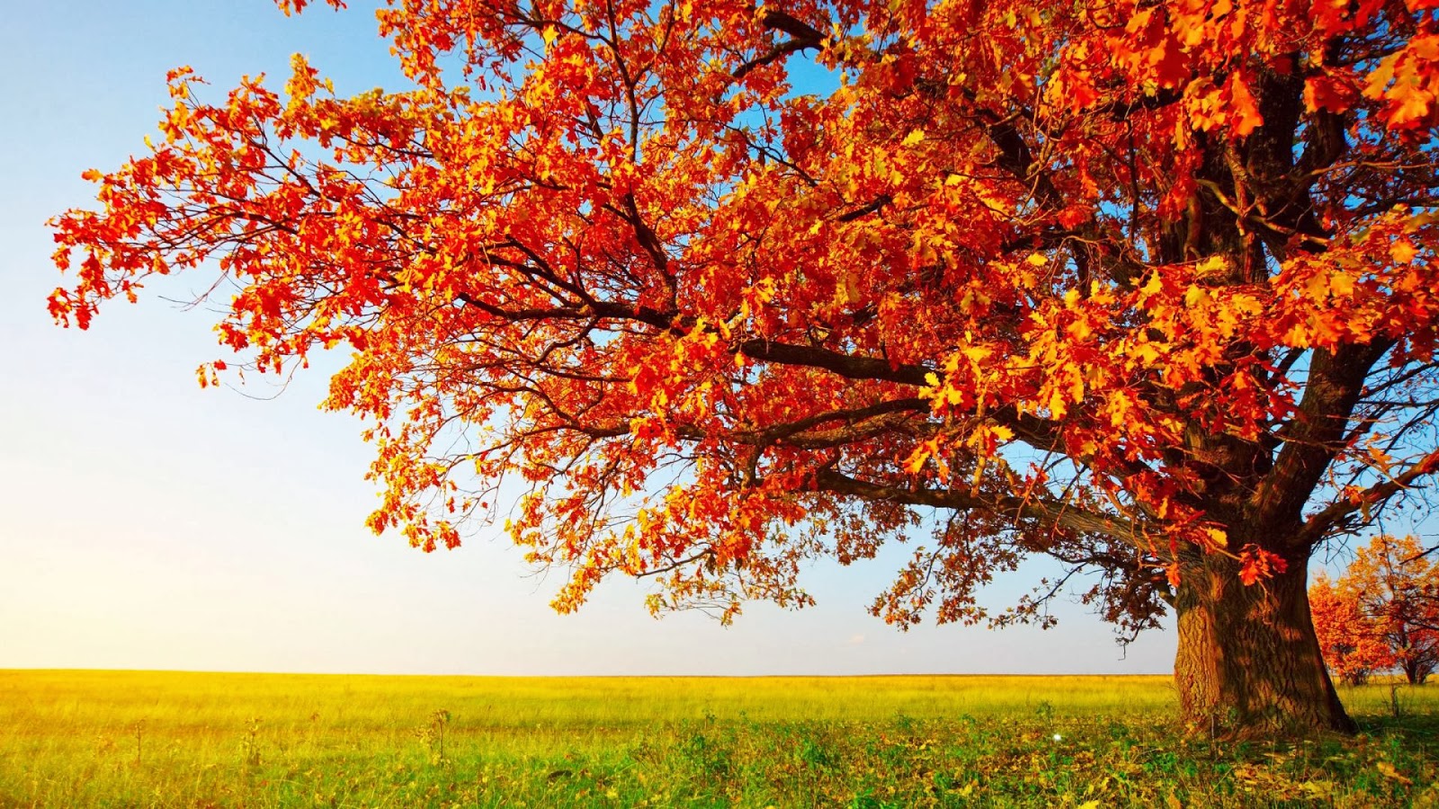 Autumn Nature Desktop Wallpapers