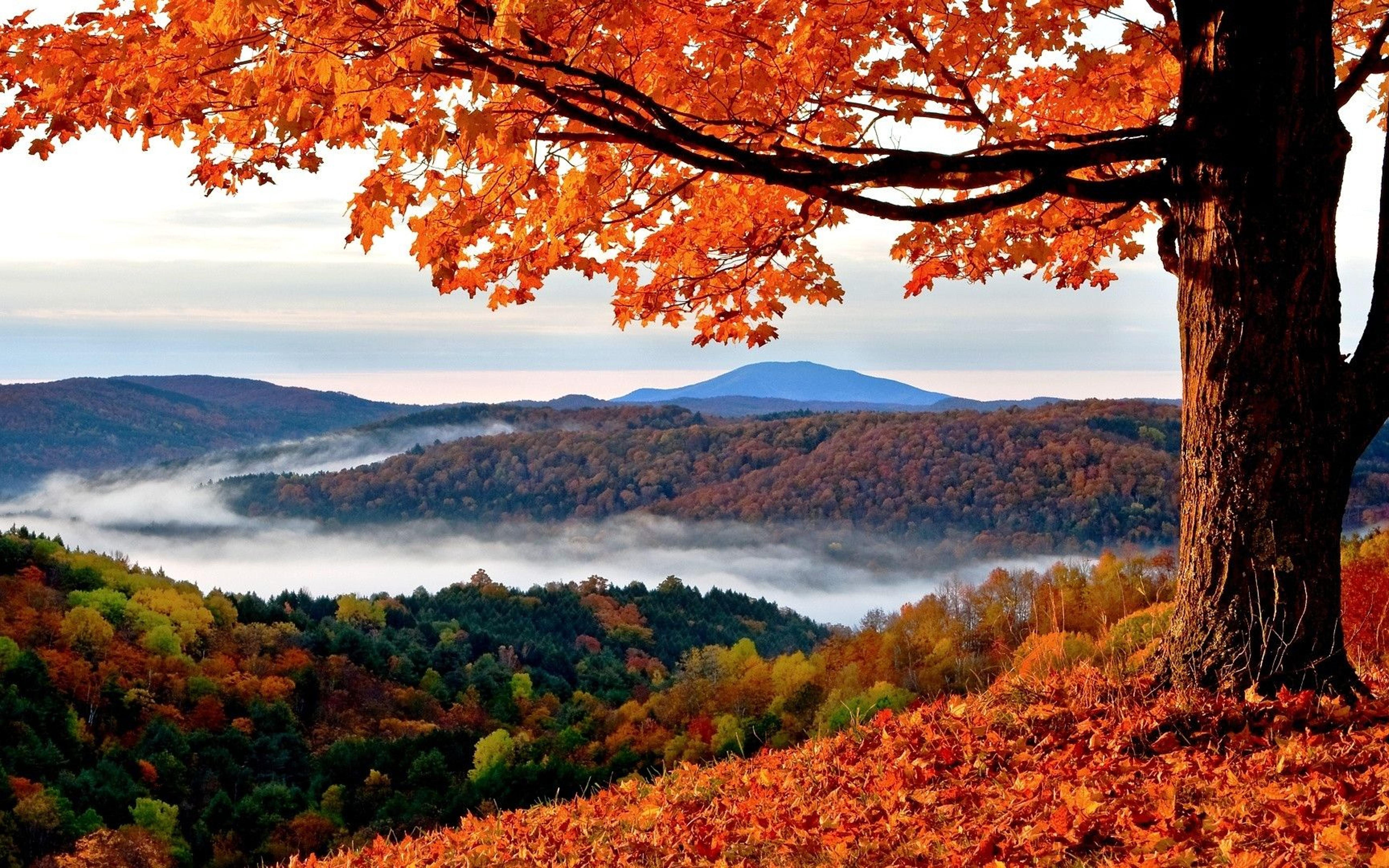 Autumn Nature Desktop Wallpapers