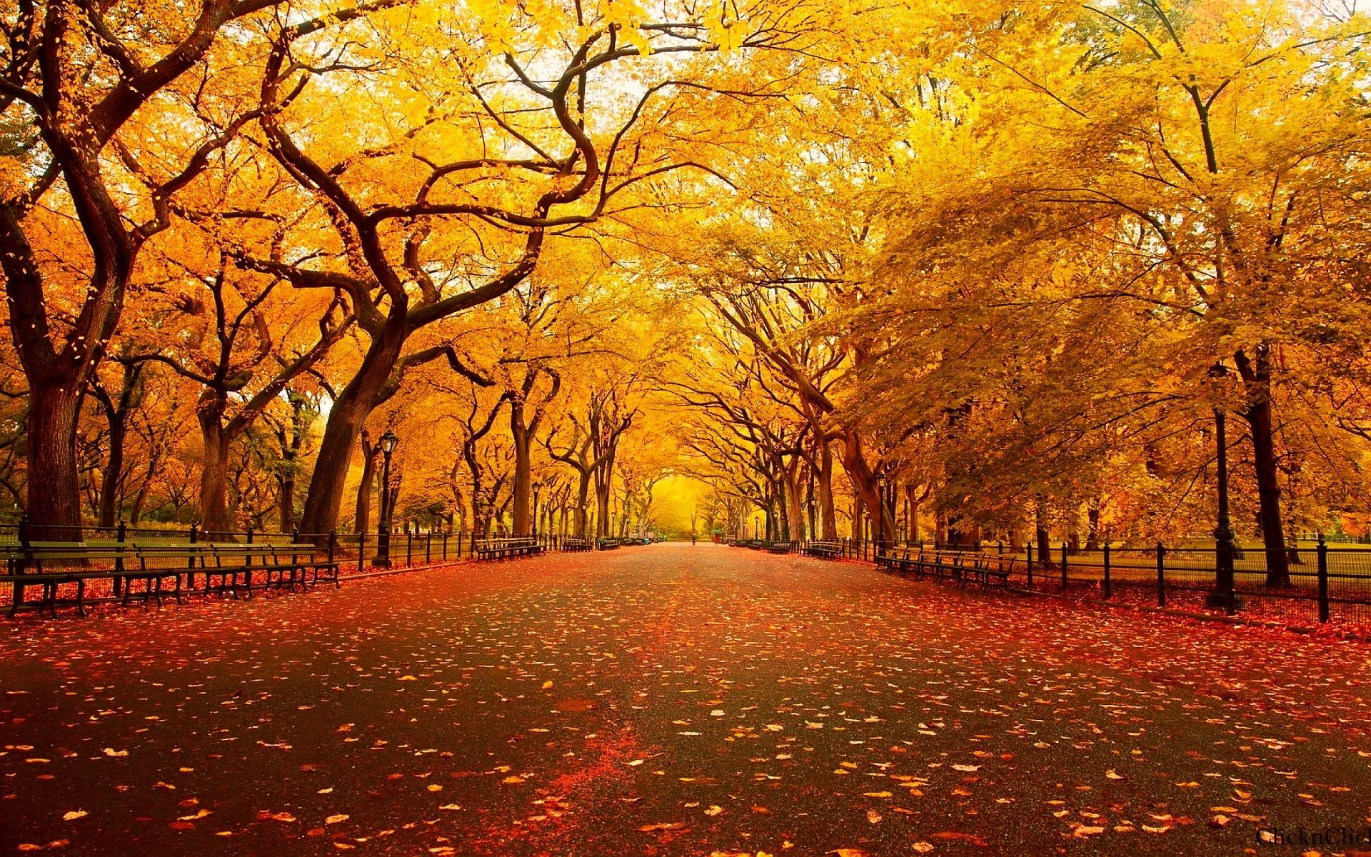 Autumn Nature Desktop Wallpapers