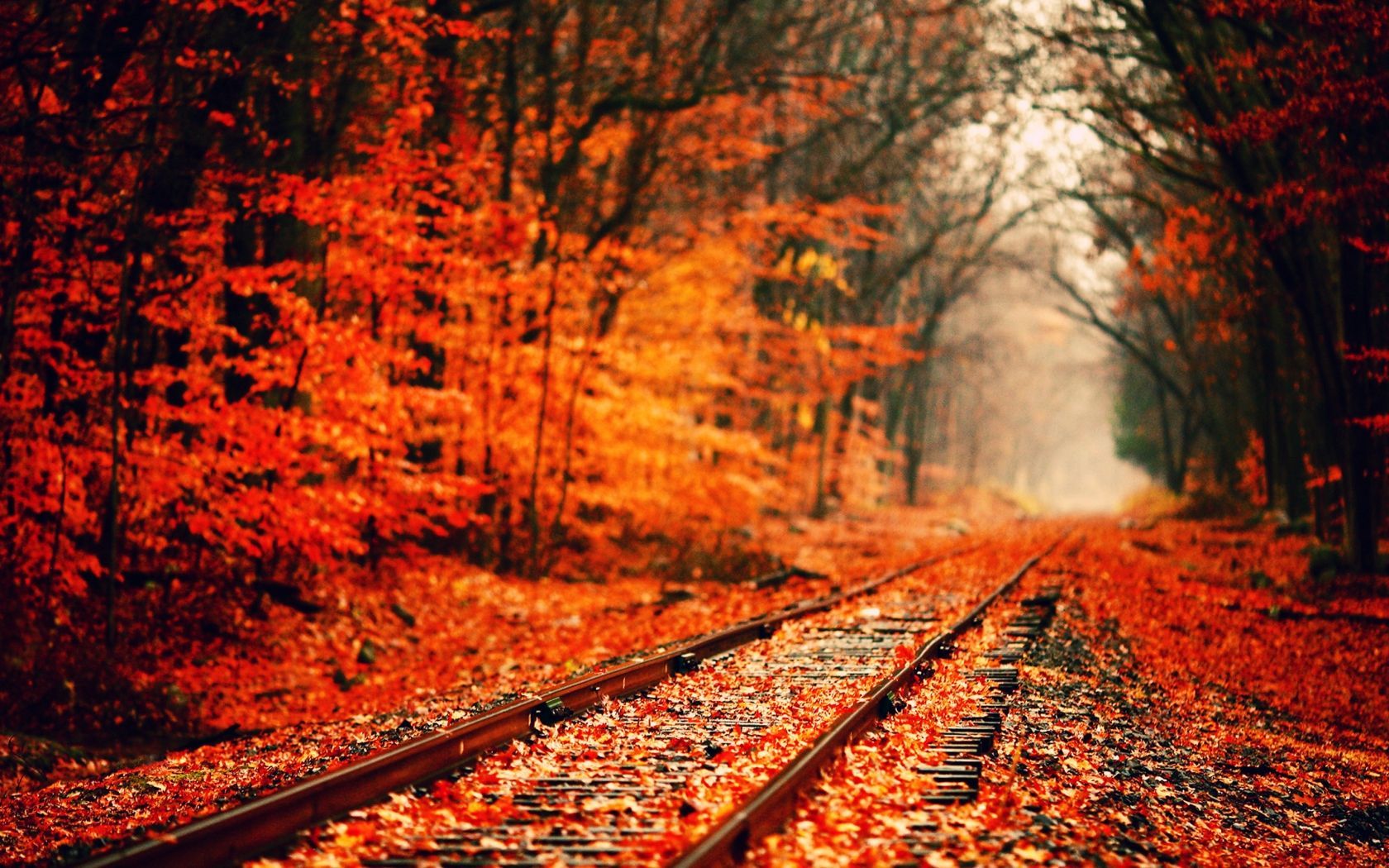 Autumn Nature Desktop Wallpapers