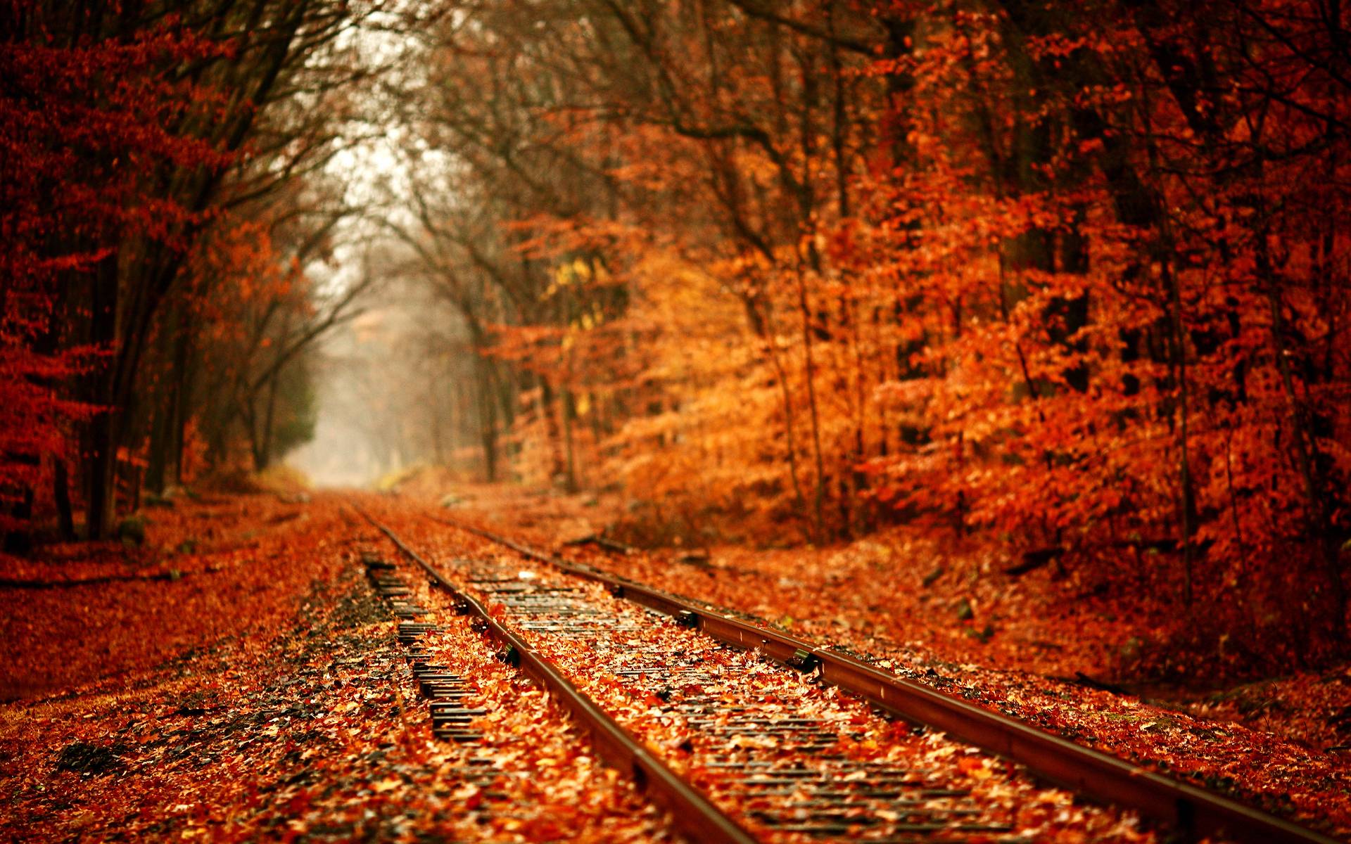 Autumn Nature Desktop Wallpapers