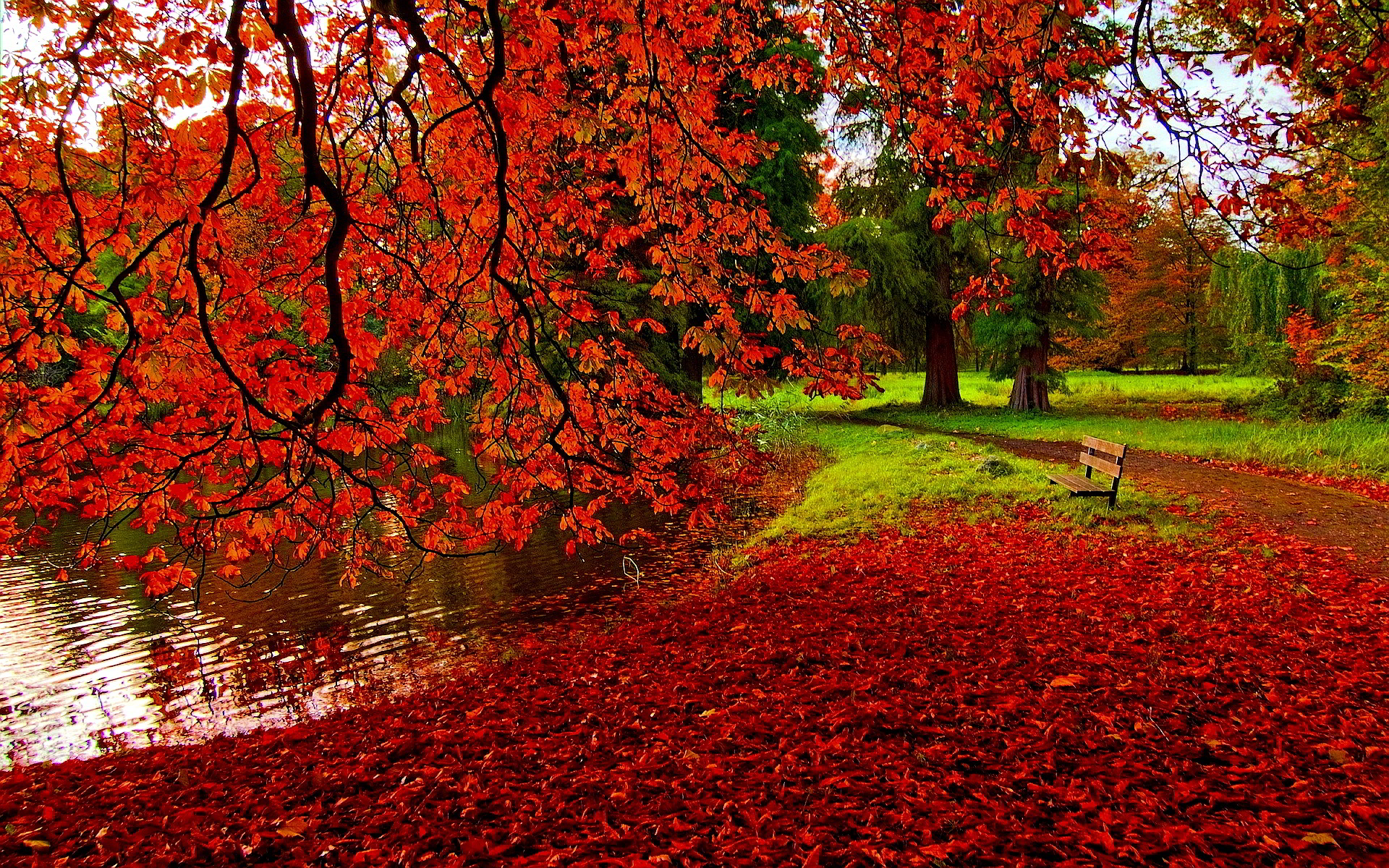 Autumn Nature Desktop Wallpapers