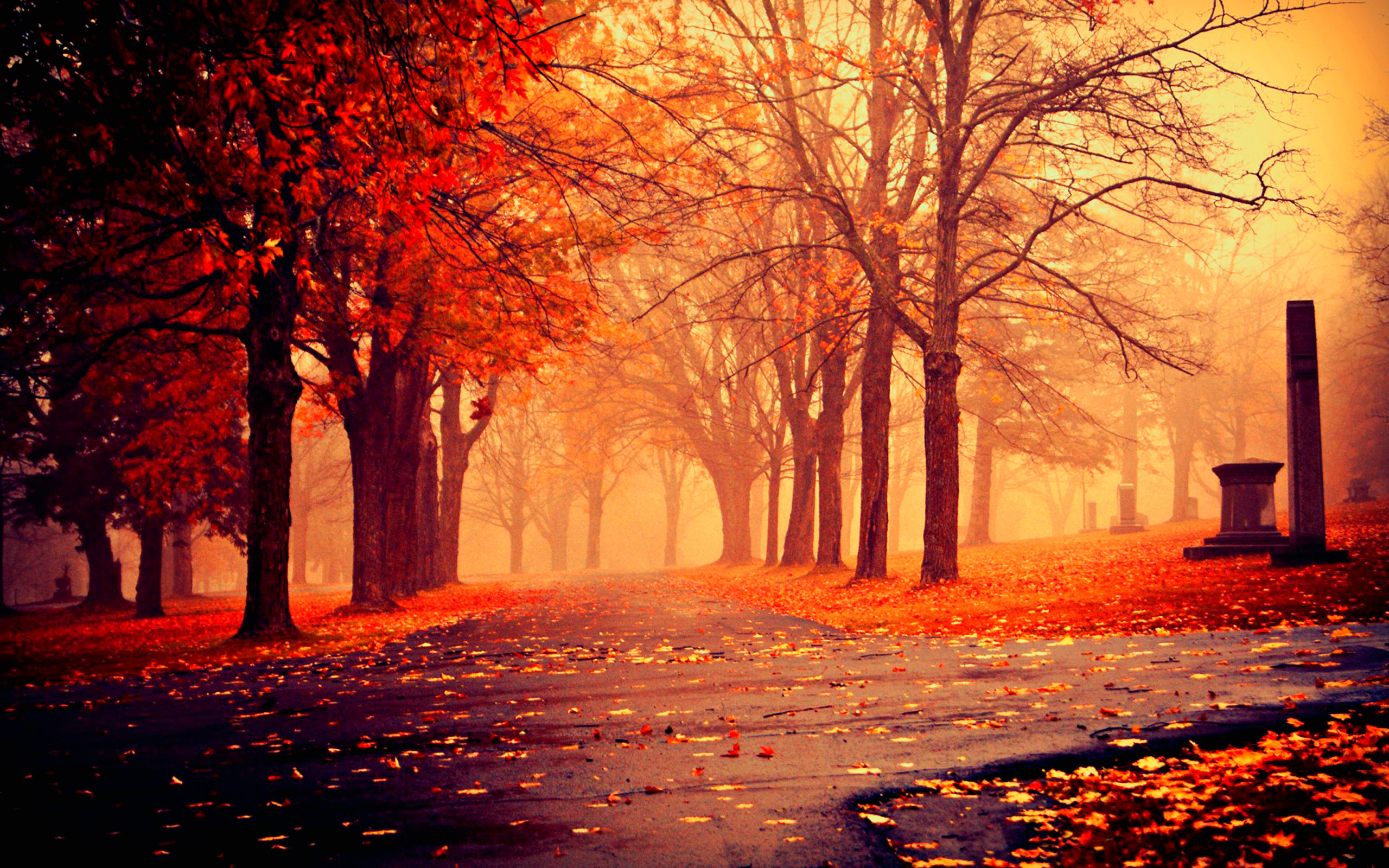 Autumn Nature Desktop Wallpapers