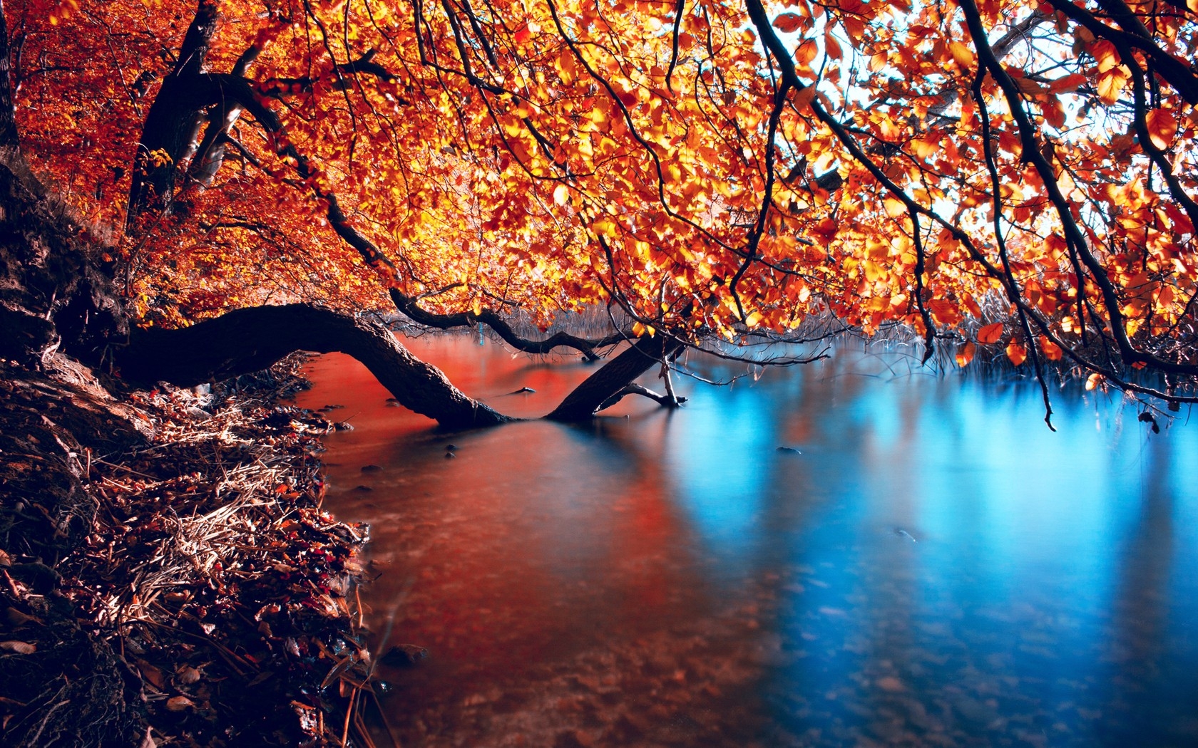 Autumn Nature Desktop Wallpapers