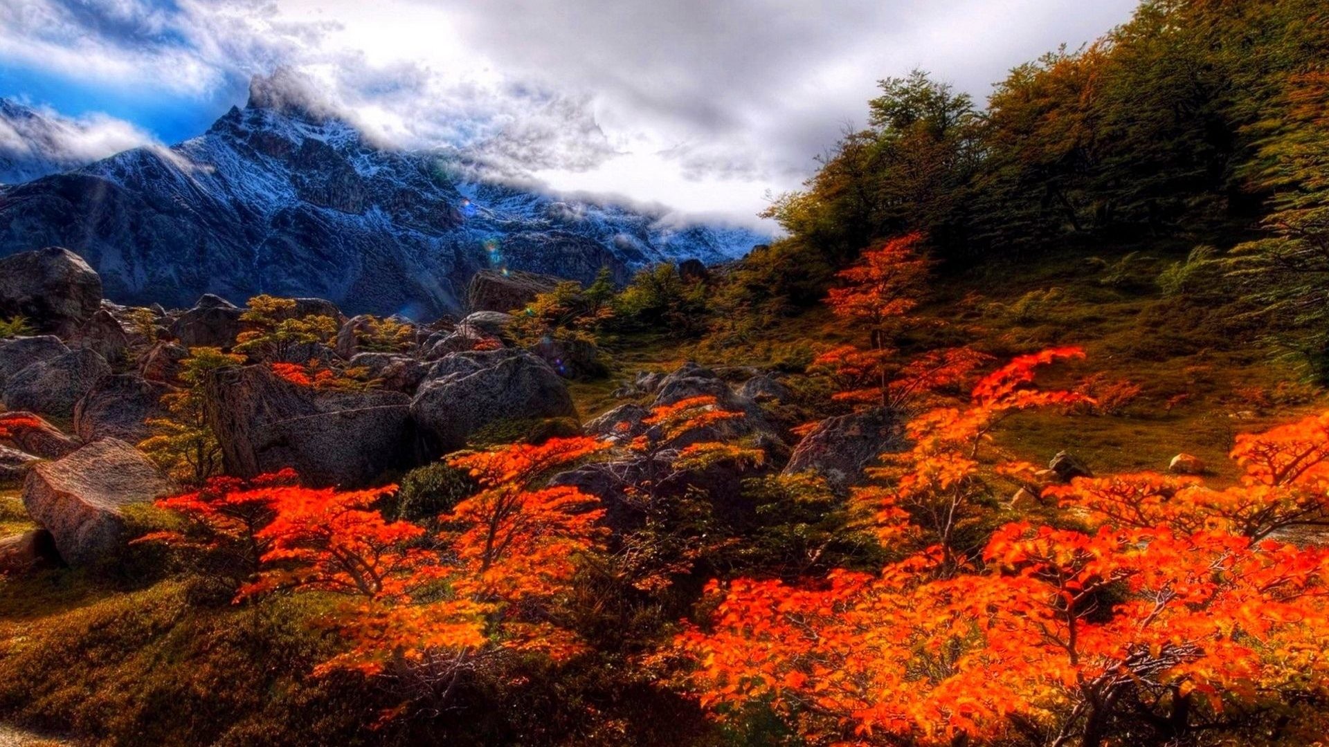 Autumn Nature Desktop Wallpapers