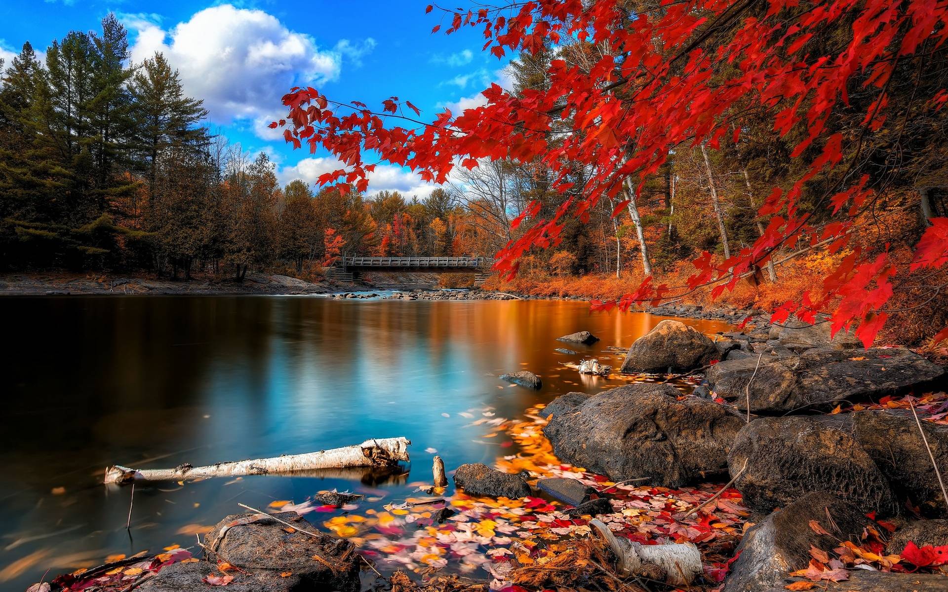 Autumn Nature Desktop Wallpapers