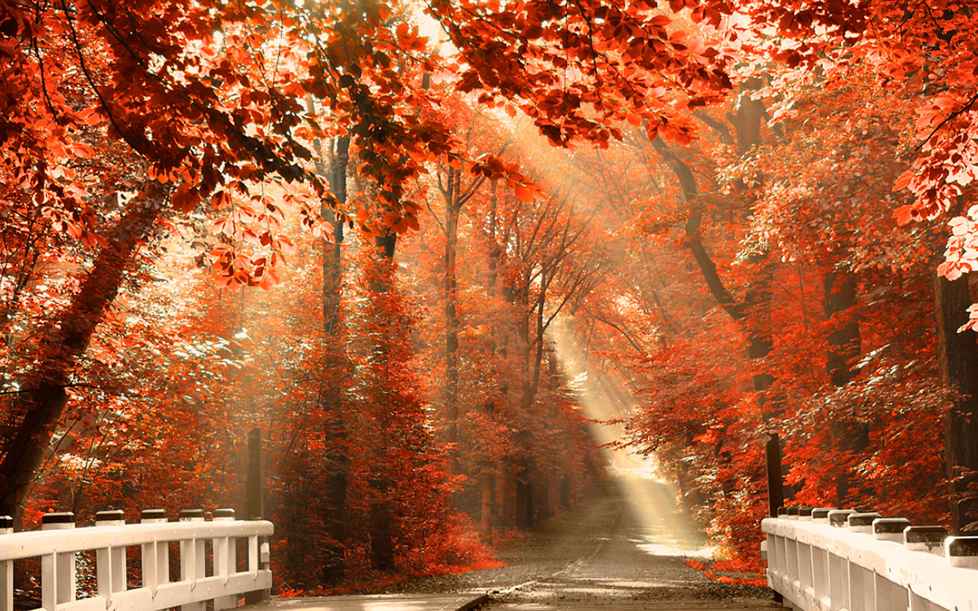 Autumn Nature Desktop Wallpapers