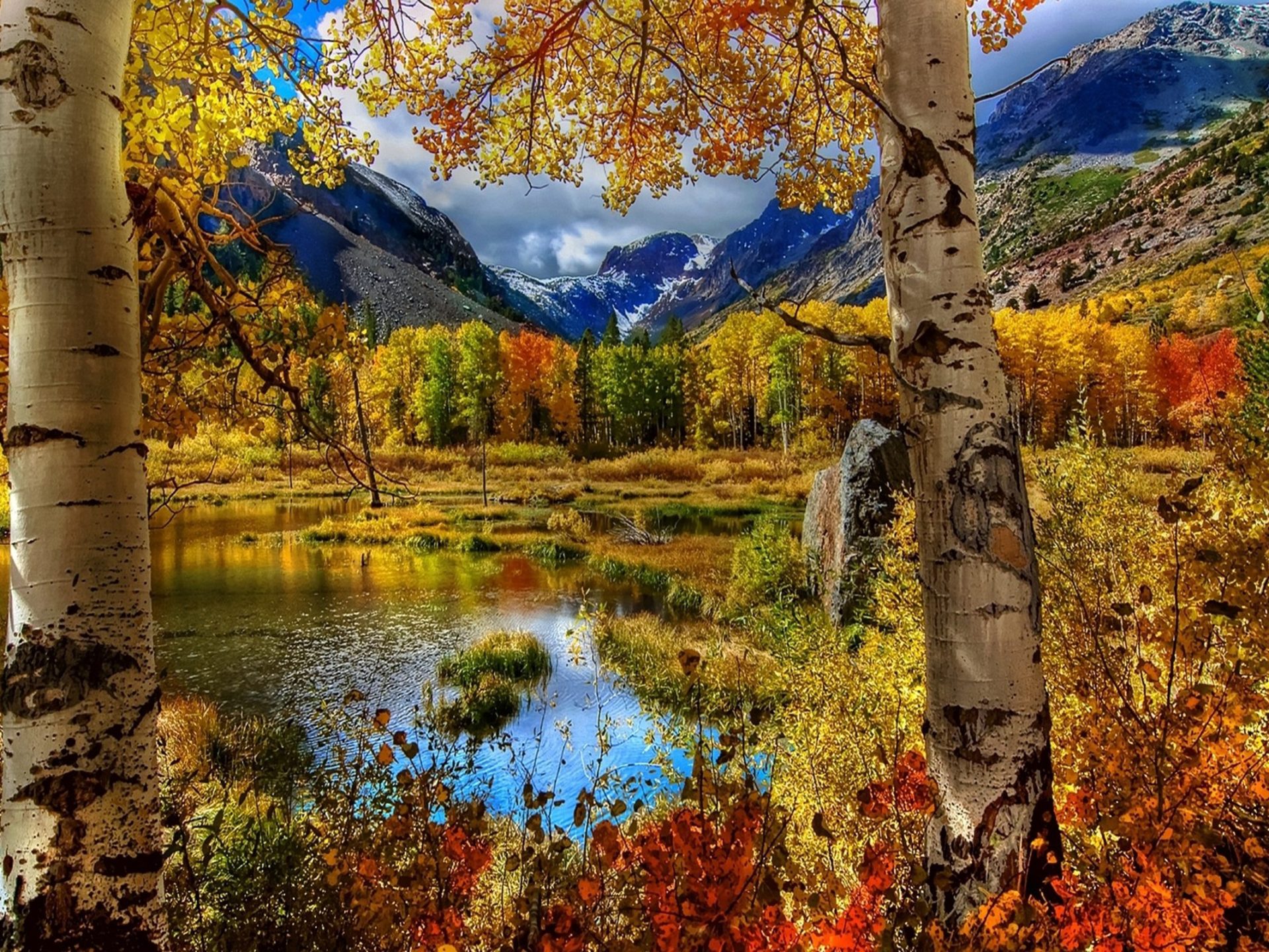 Autumn Nature Desktop Wallpapers