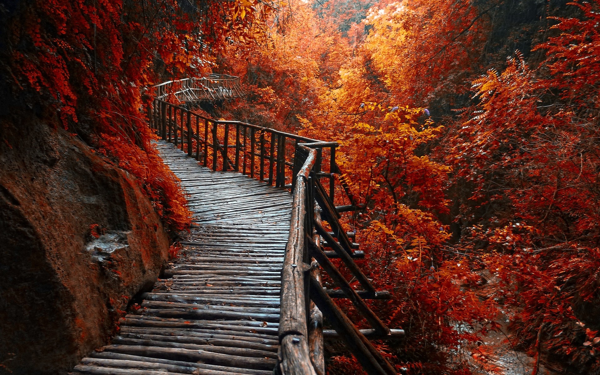 Autumn Nature Desktop Wallpapers