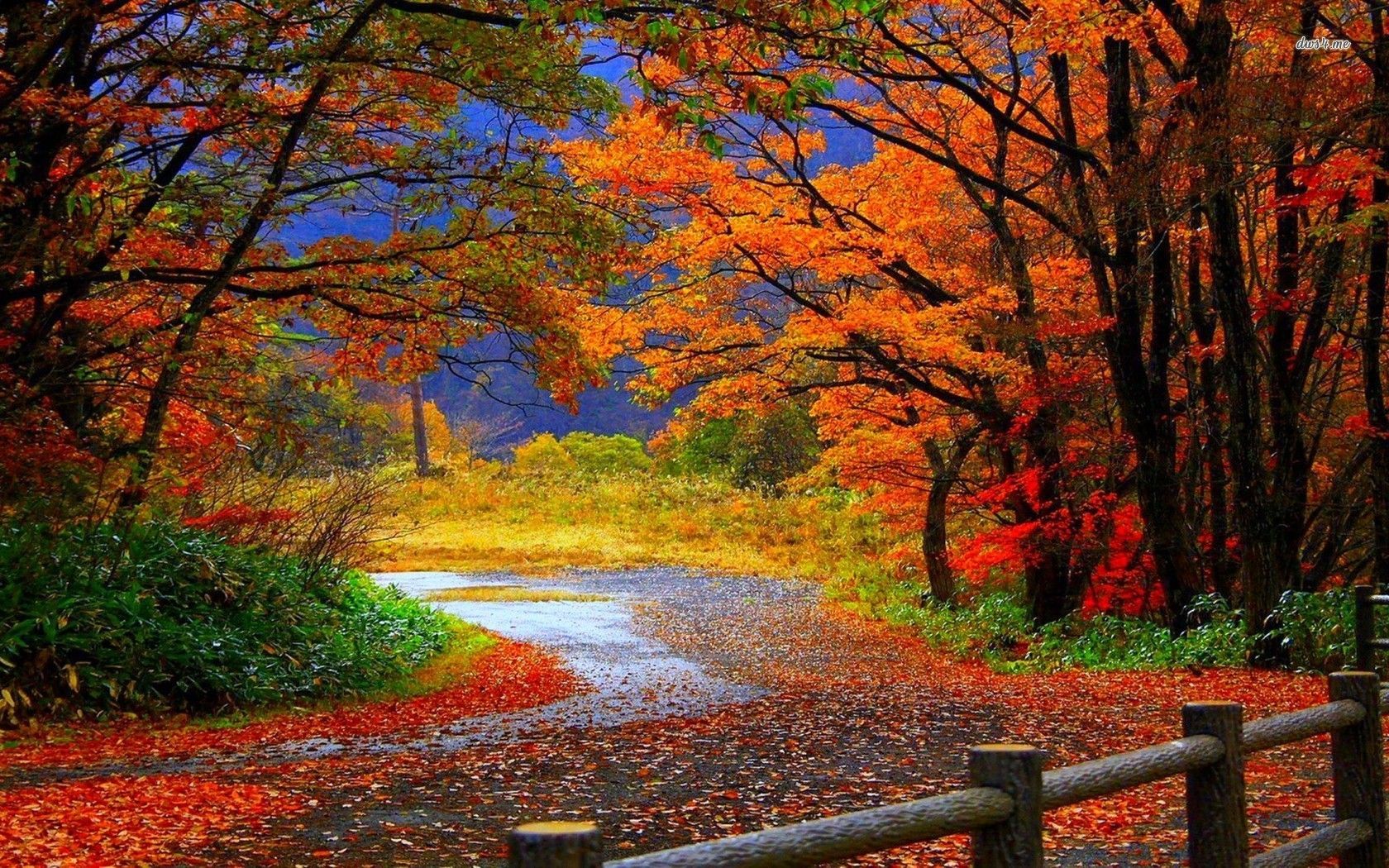 Autumn Nature Desktop Wallpapers