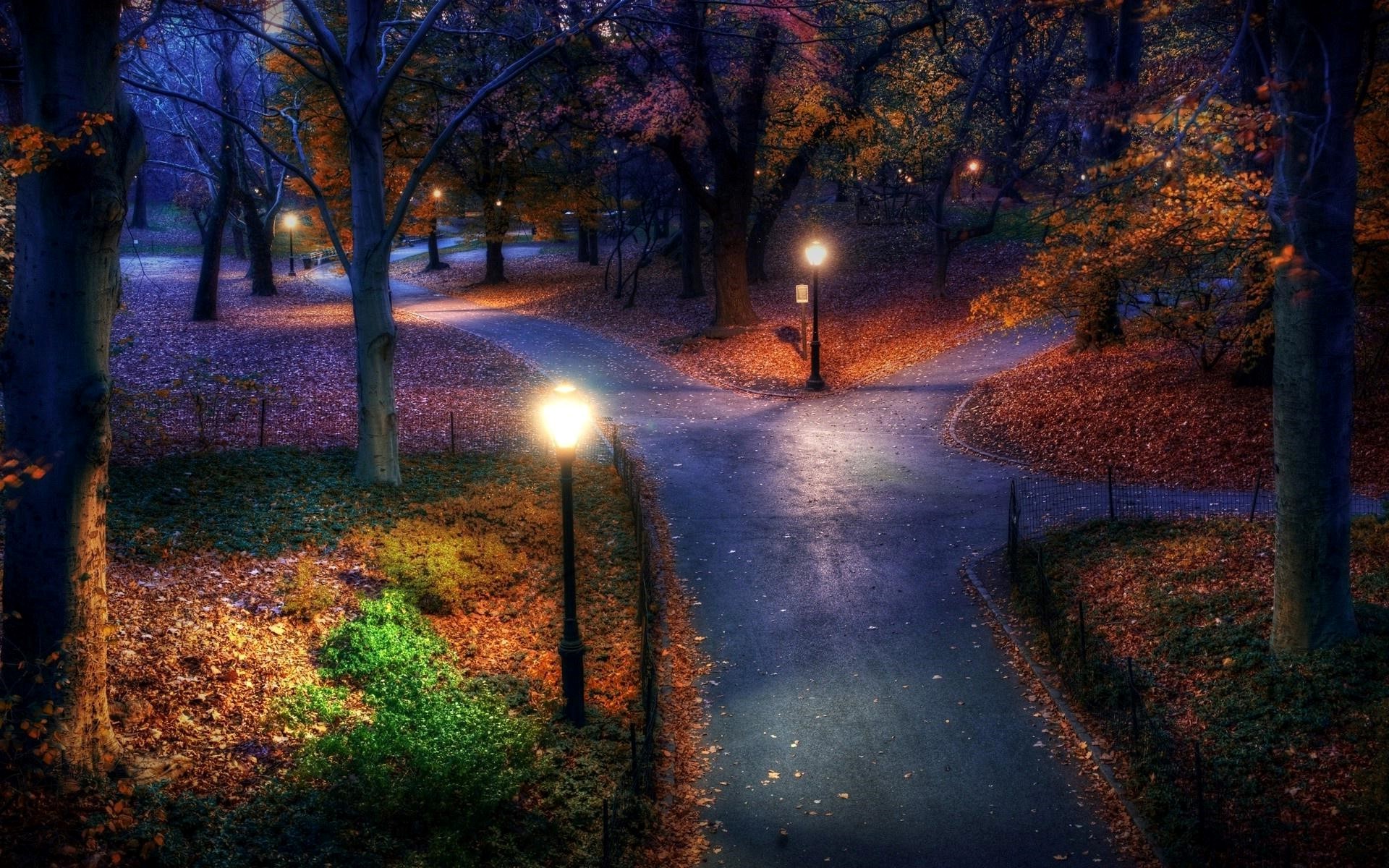 Autumn Night Wallpapers