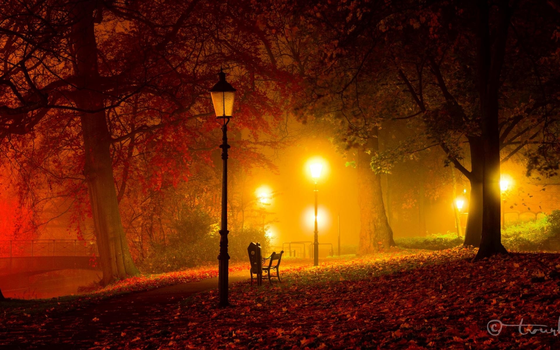 Autumn Night Wallpapers