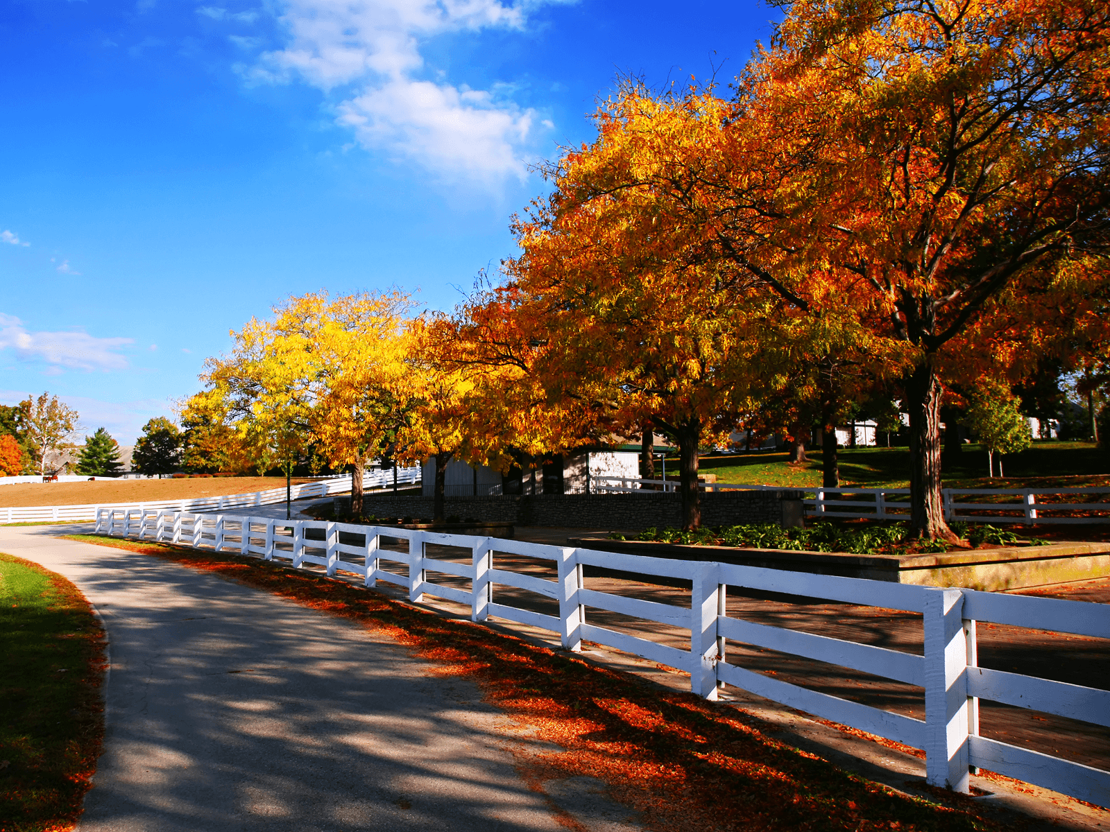 Autumn On The Farm Wallpapers