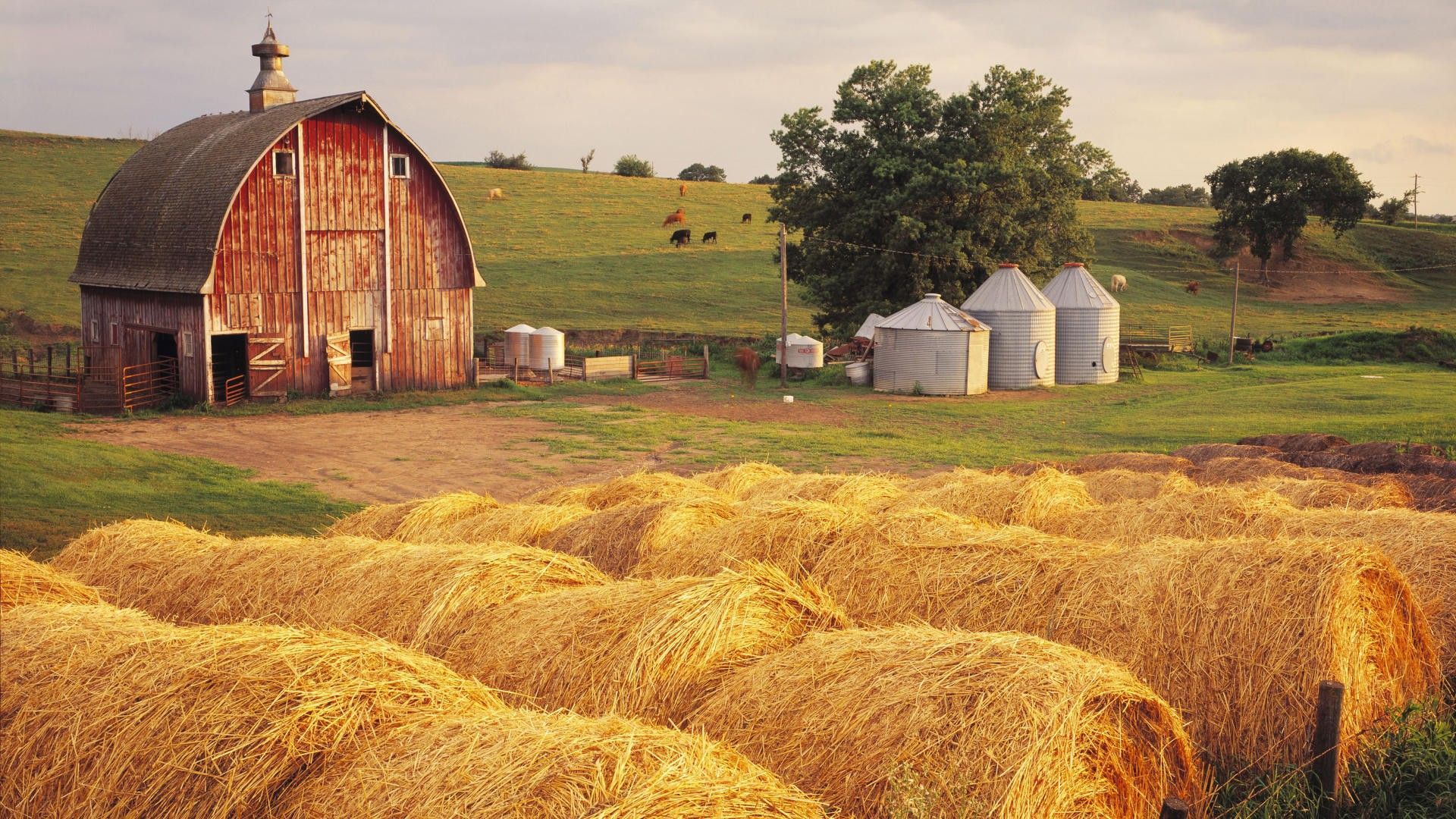 Autumn On The Farm Wallpapers