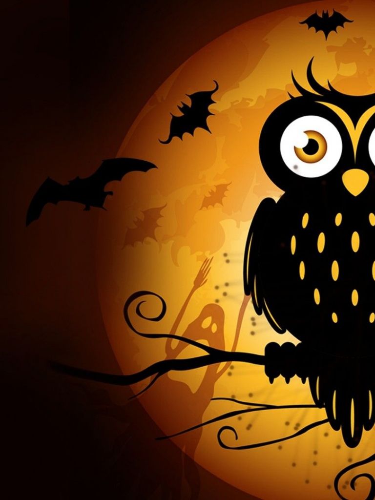 Autumn Owl Desktop Wallpapers