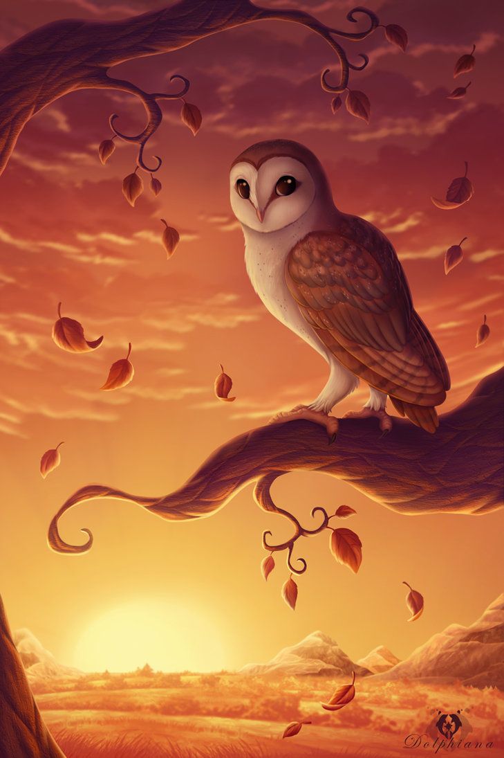 Autumn Owl Wallpapers