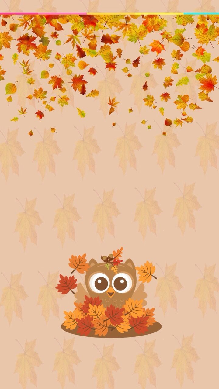 Autumn Owl Wallpapers