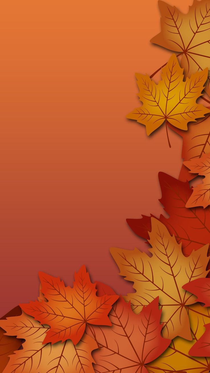 Autumn Pinterest Desktop Wallpapers