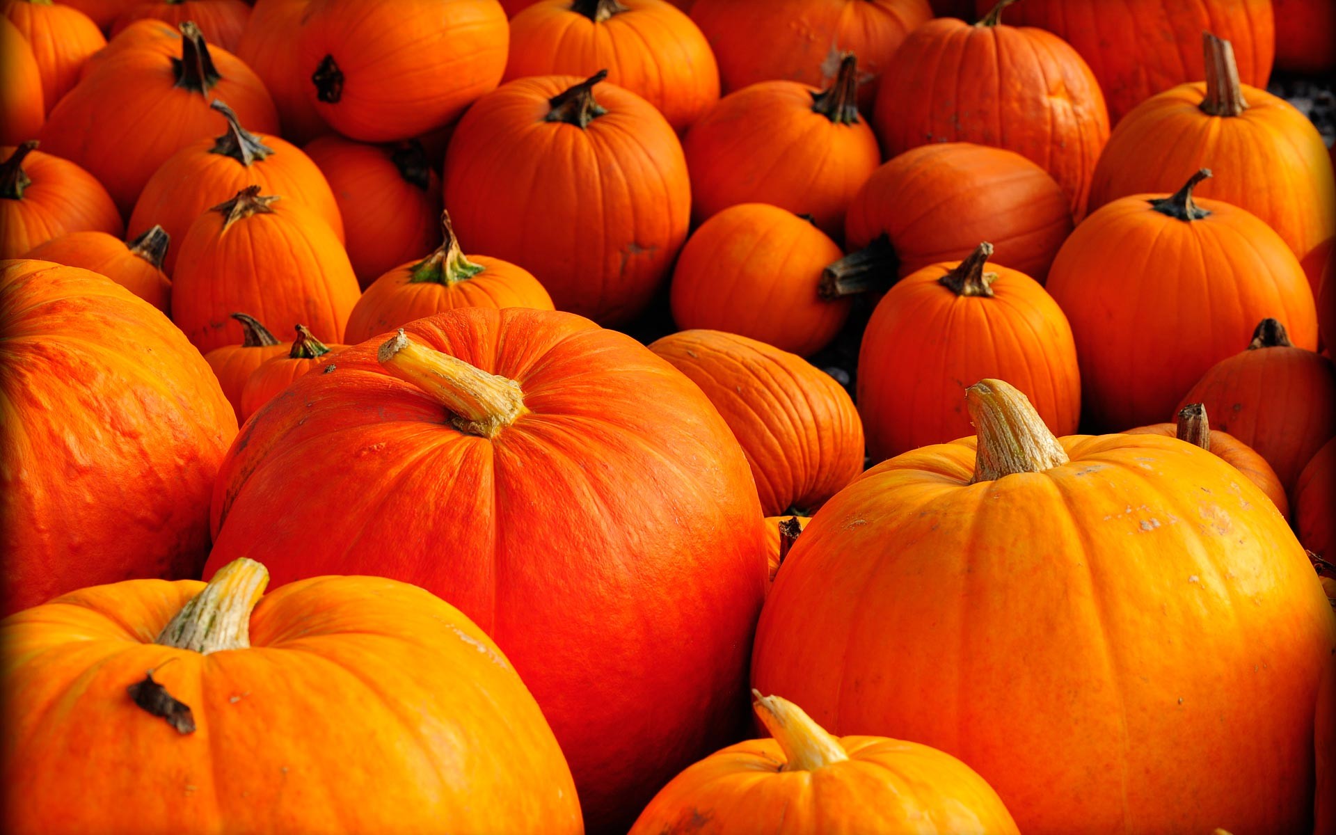 Autumn Pumpkins Wallpapers