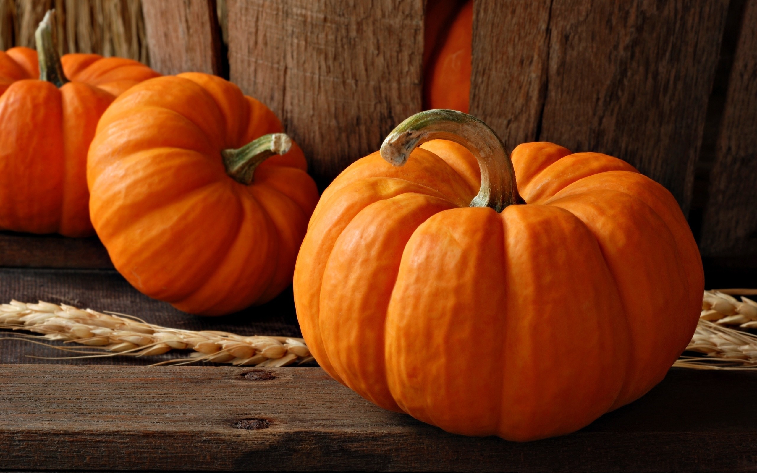 Autumn Pumpkins Wallpapers