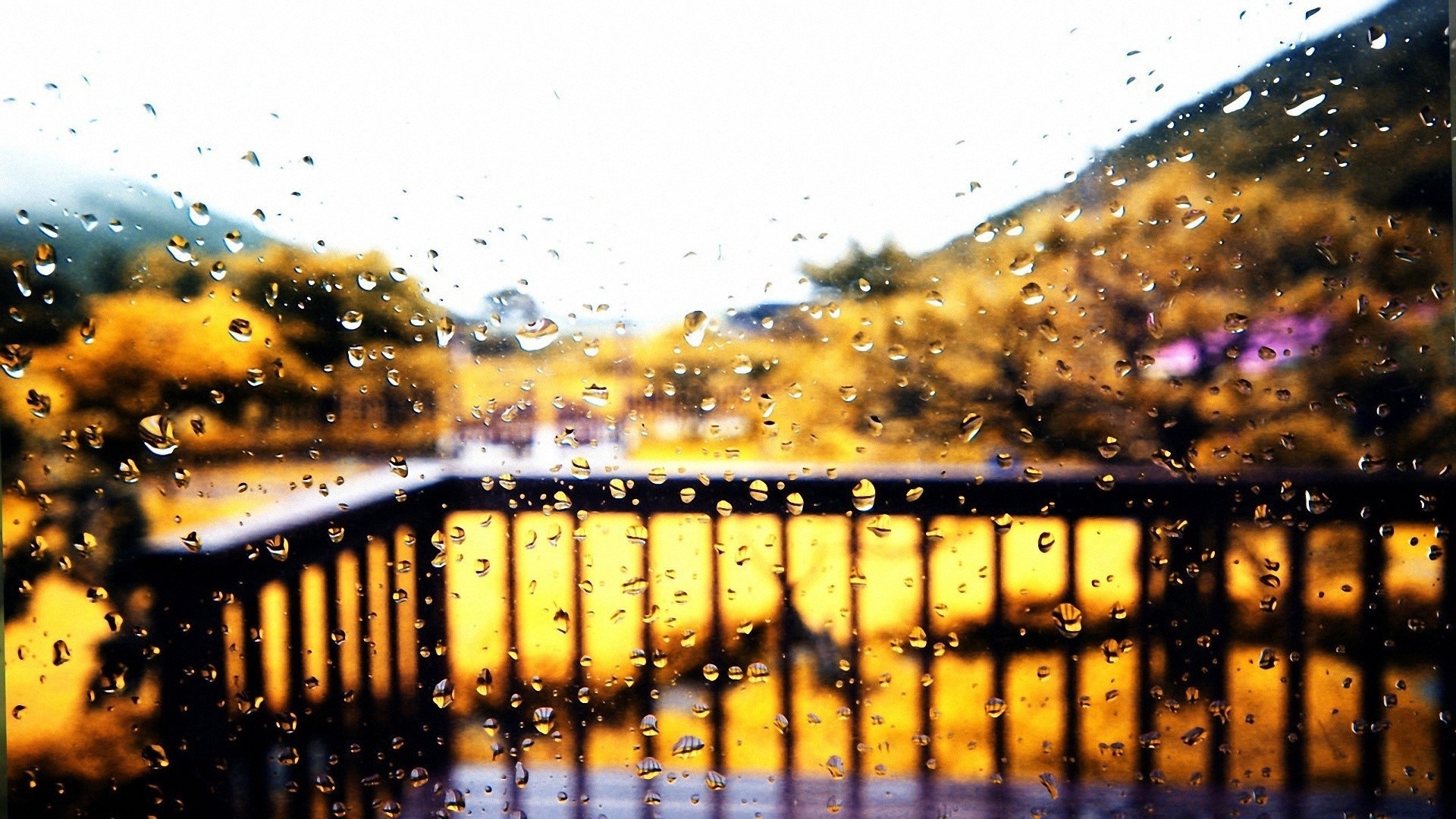 Autumn Rain Wallpapers