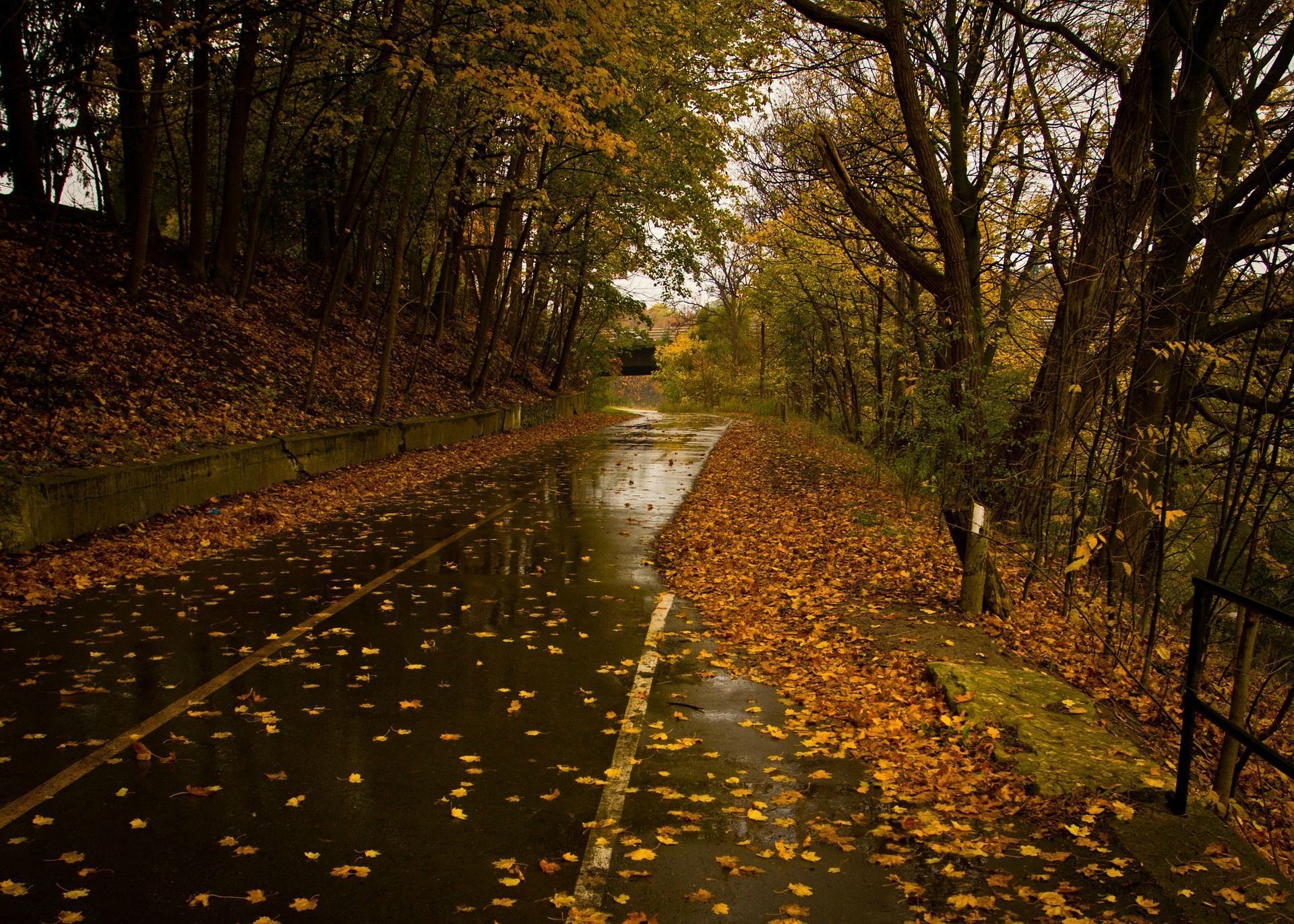 Autumn Rain Wallpapers