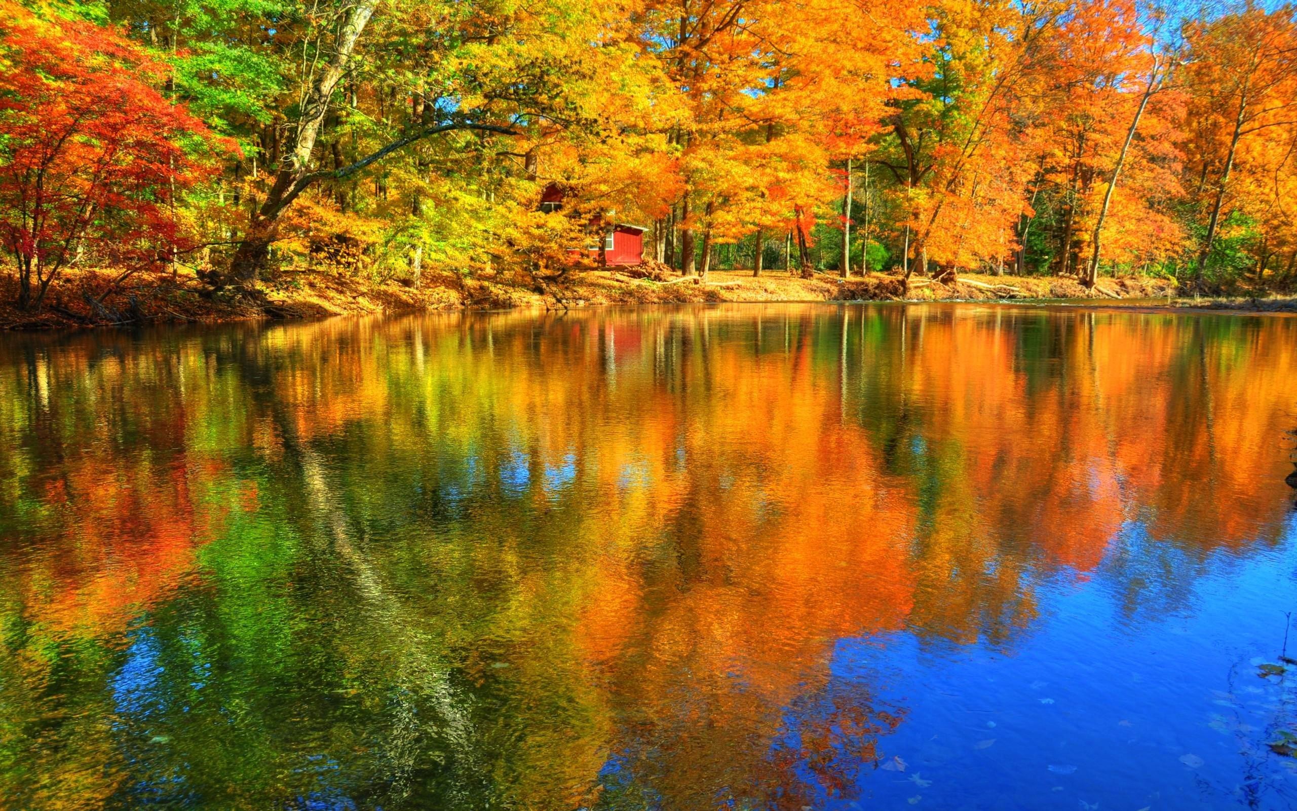 Autumn Reflection Wallpapers