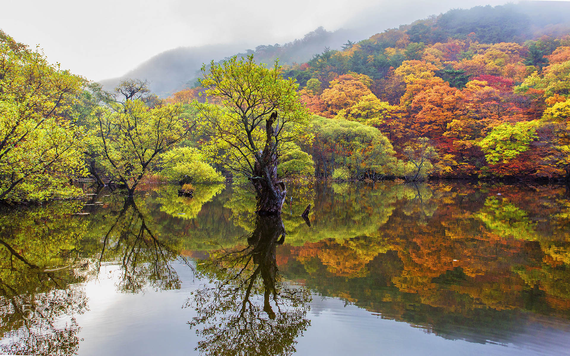 Autumn Reflection Wallpapers