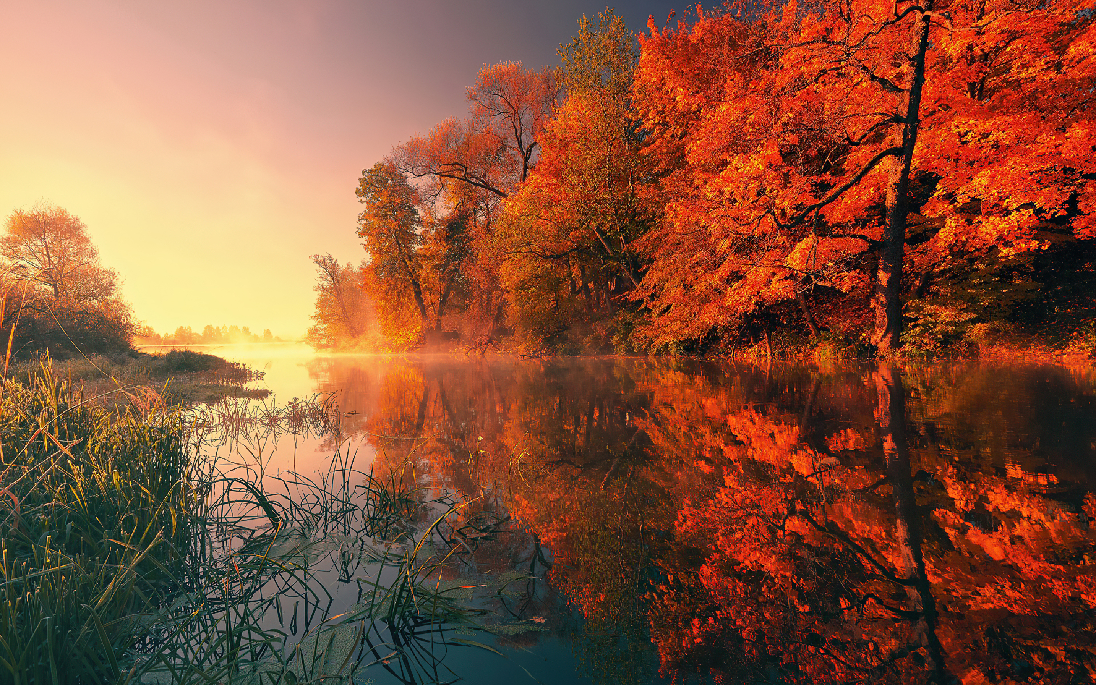 Autumn Reflection Wallpapers