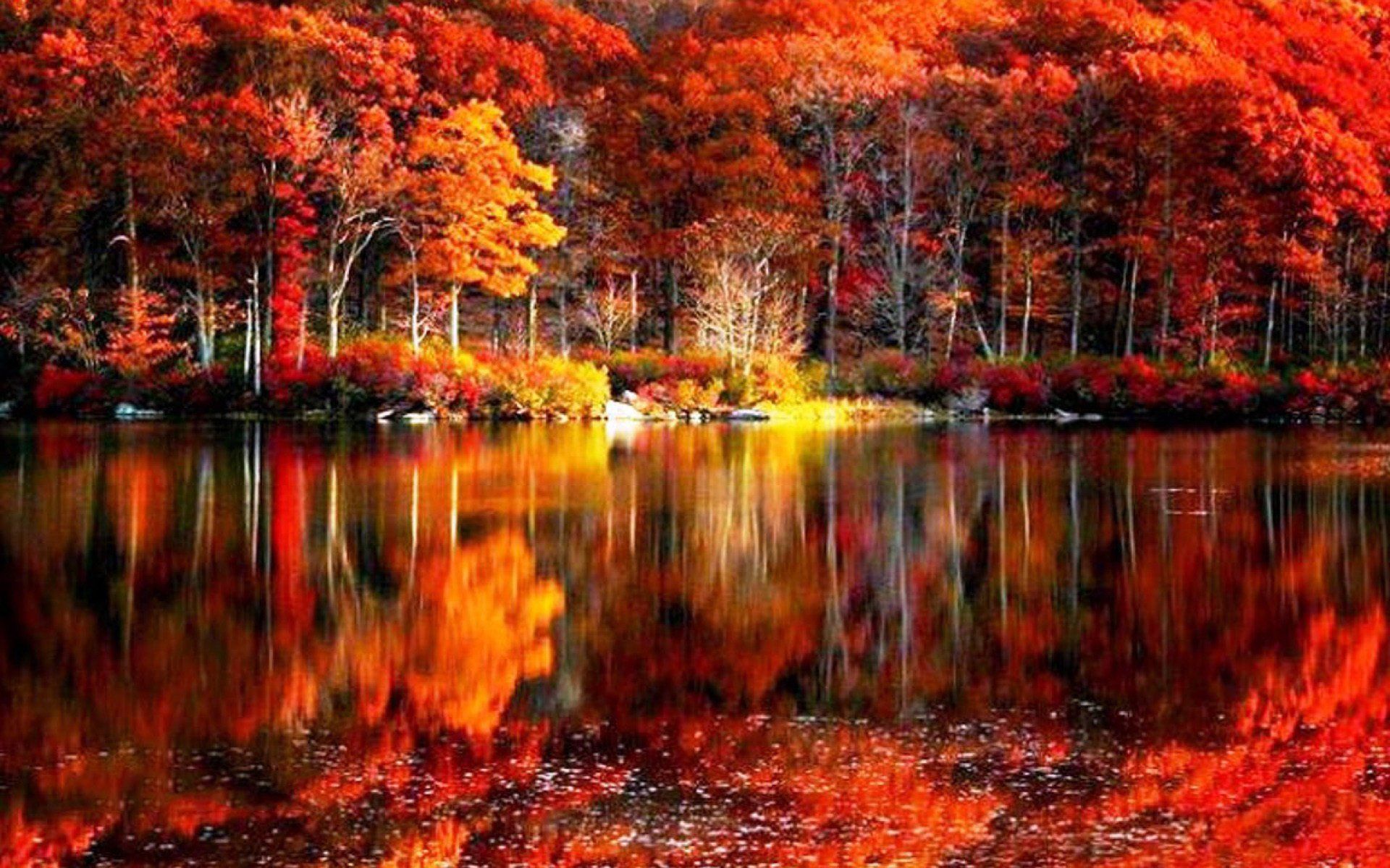 Autumn Reflection Wallpapers