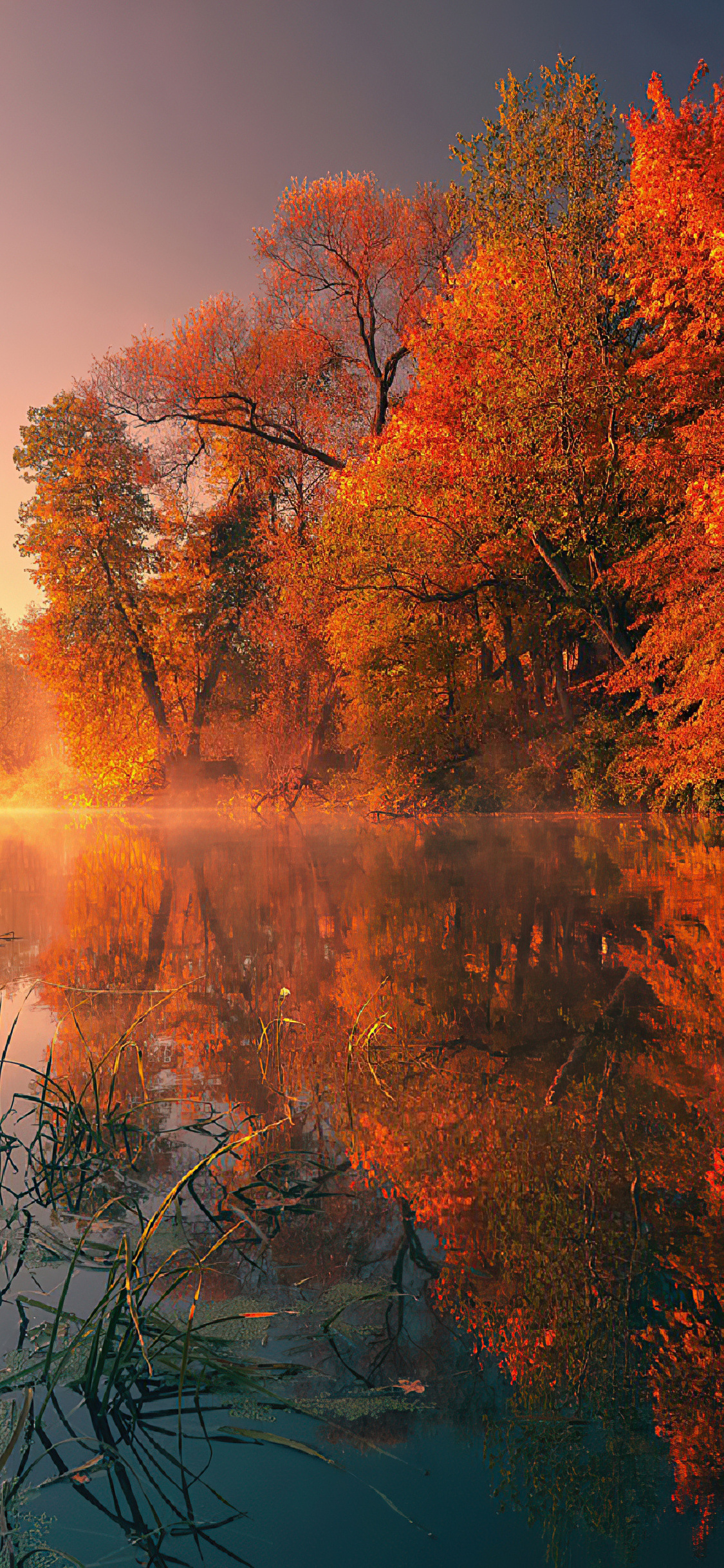 Autumn Reflection Wallpapers