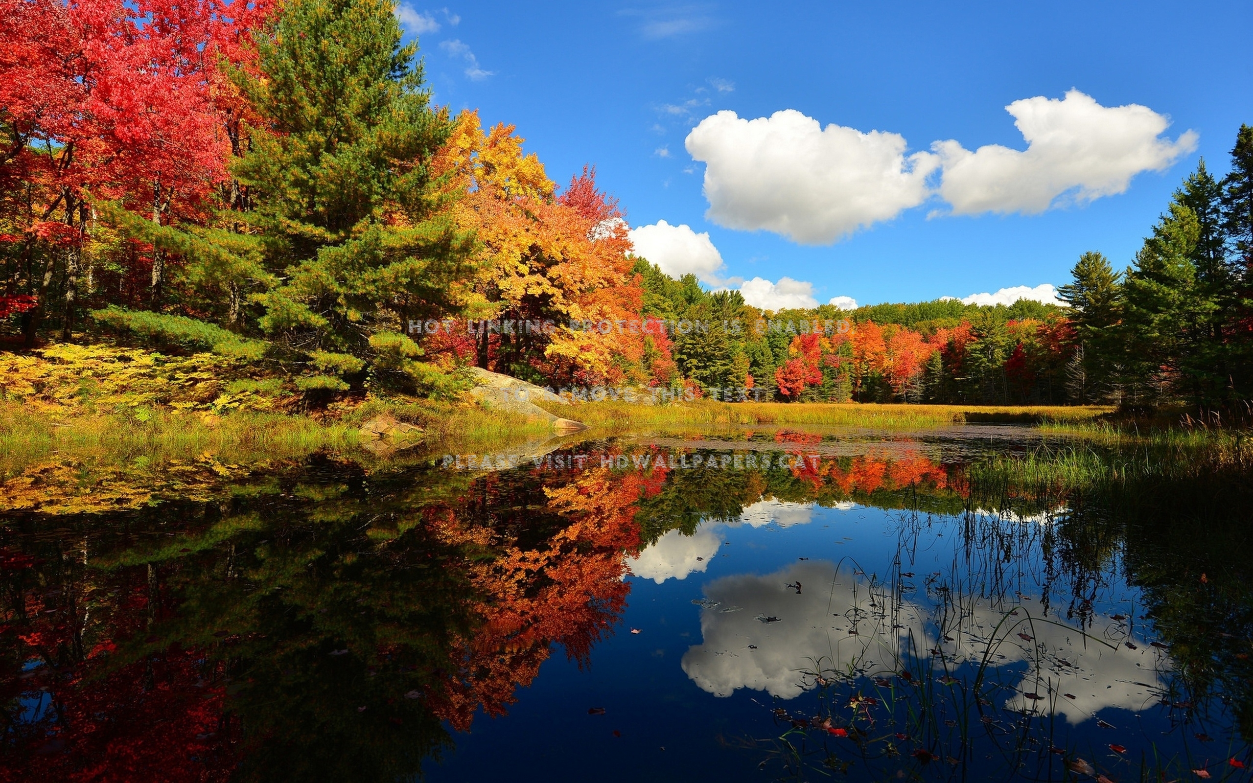 Autumn Reflection Wallpapers