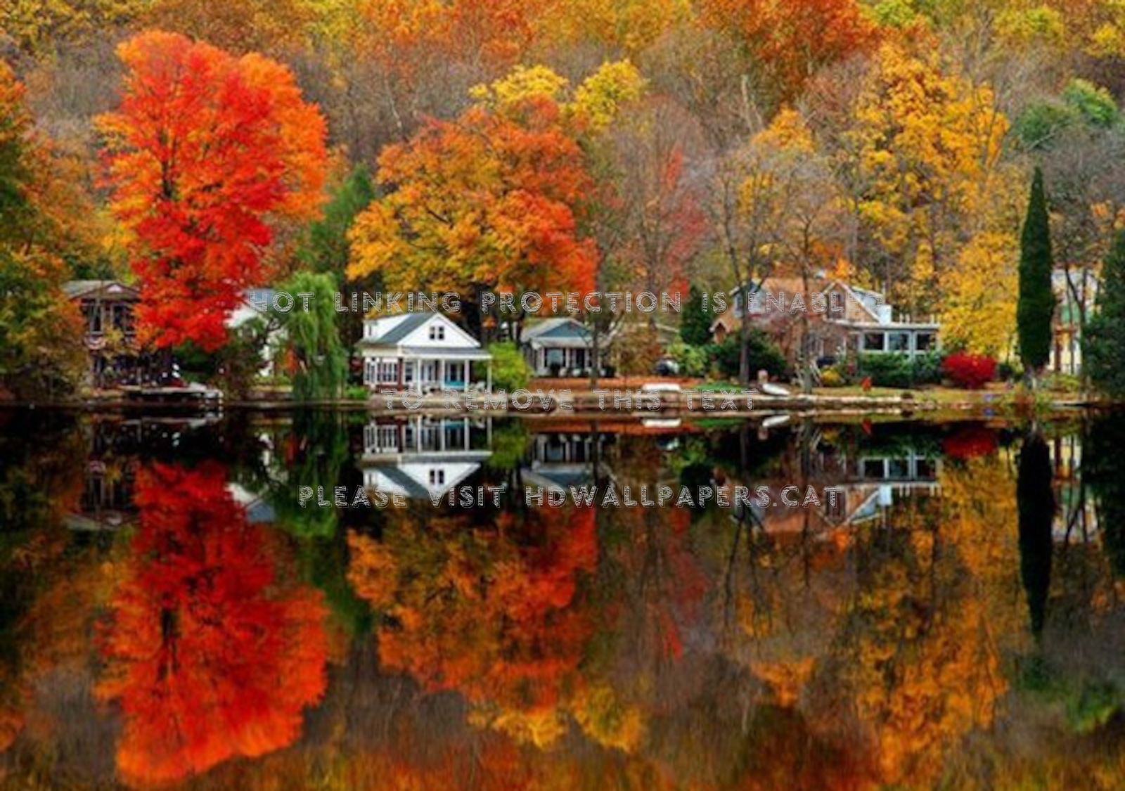 Autumn Reflection Wallpapers