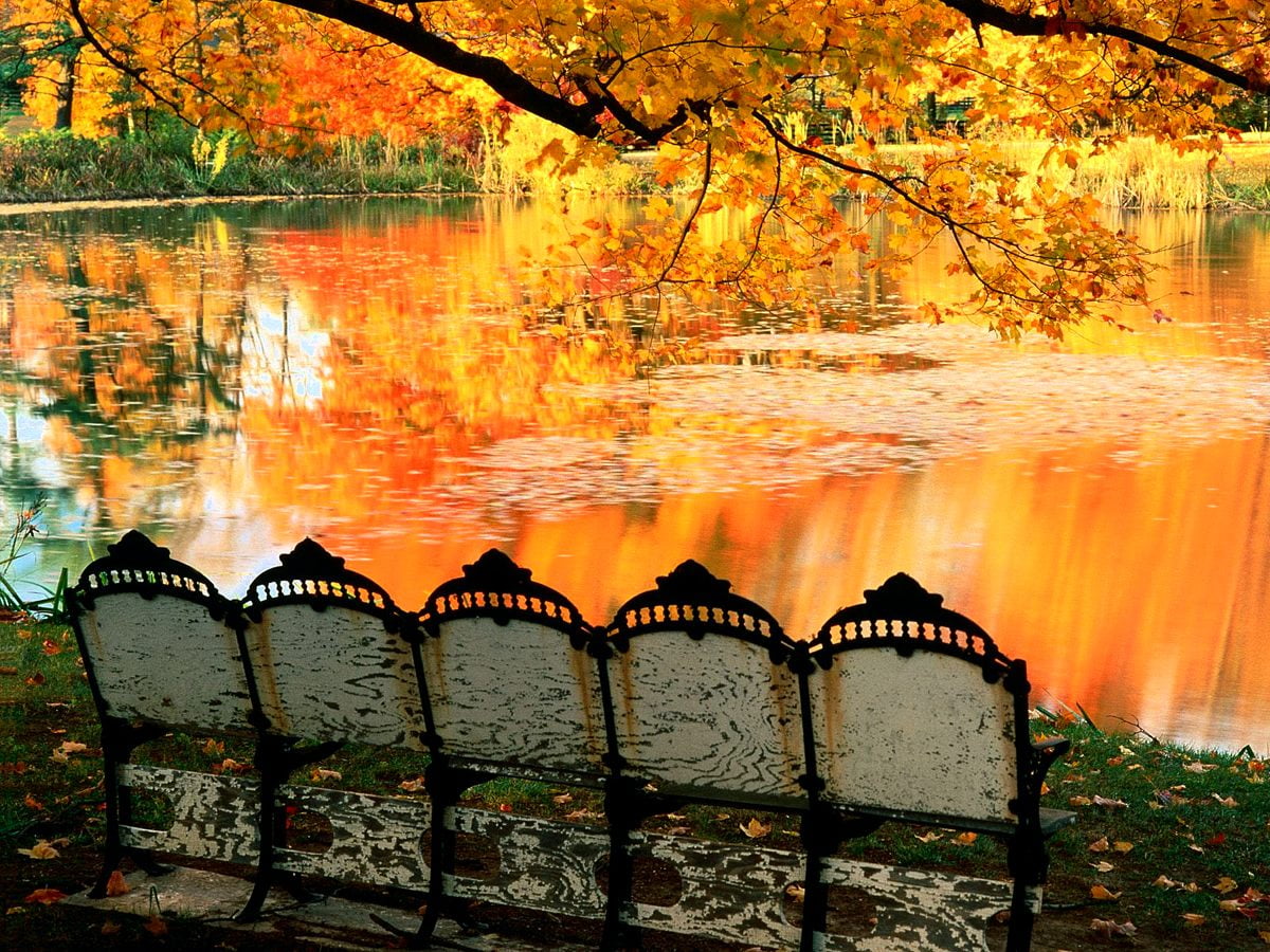 Autumn Reflection Wallpapers