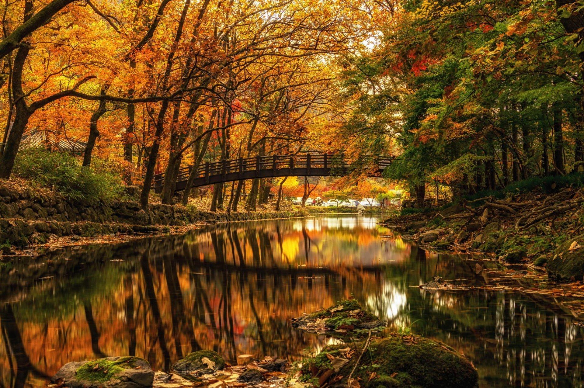 Autumn River Wallpapers