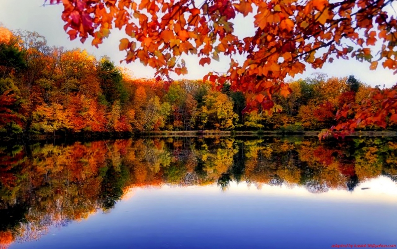 Autumn River Wallpapers