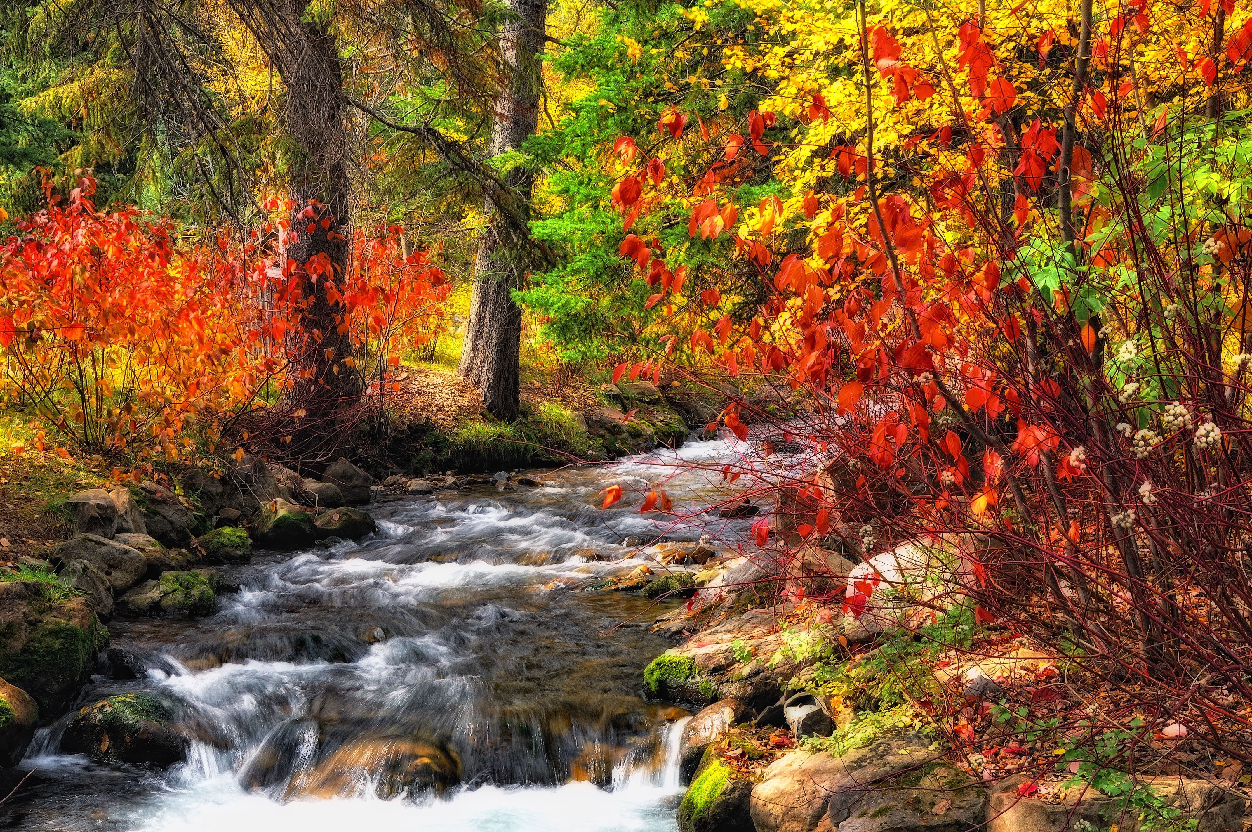 Autumn River Wallpapers