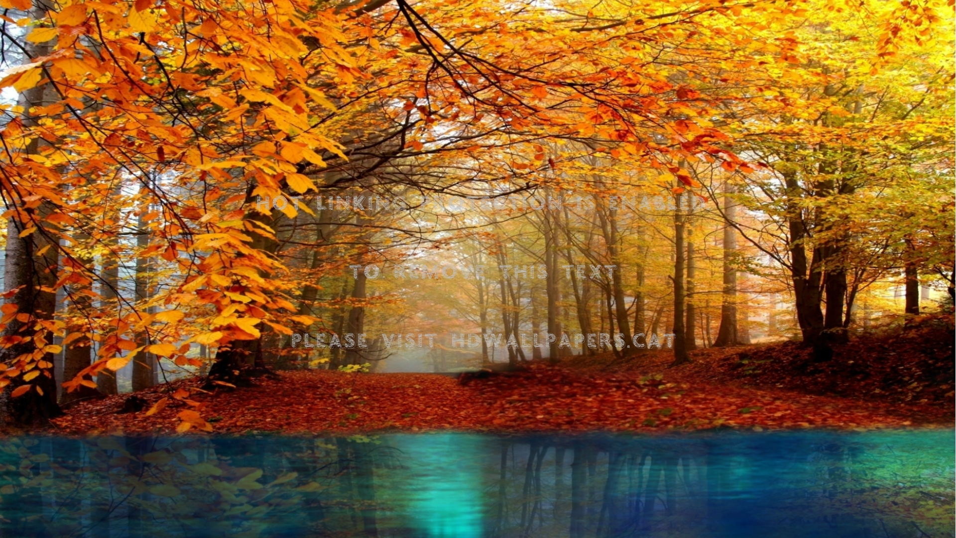 Autumn River Wallpapers