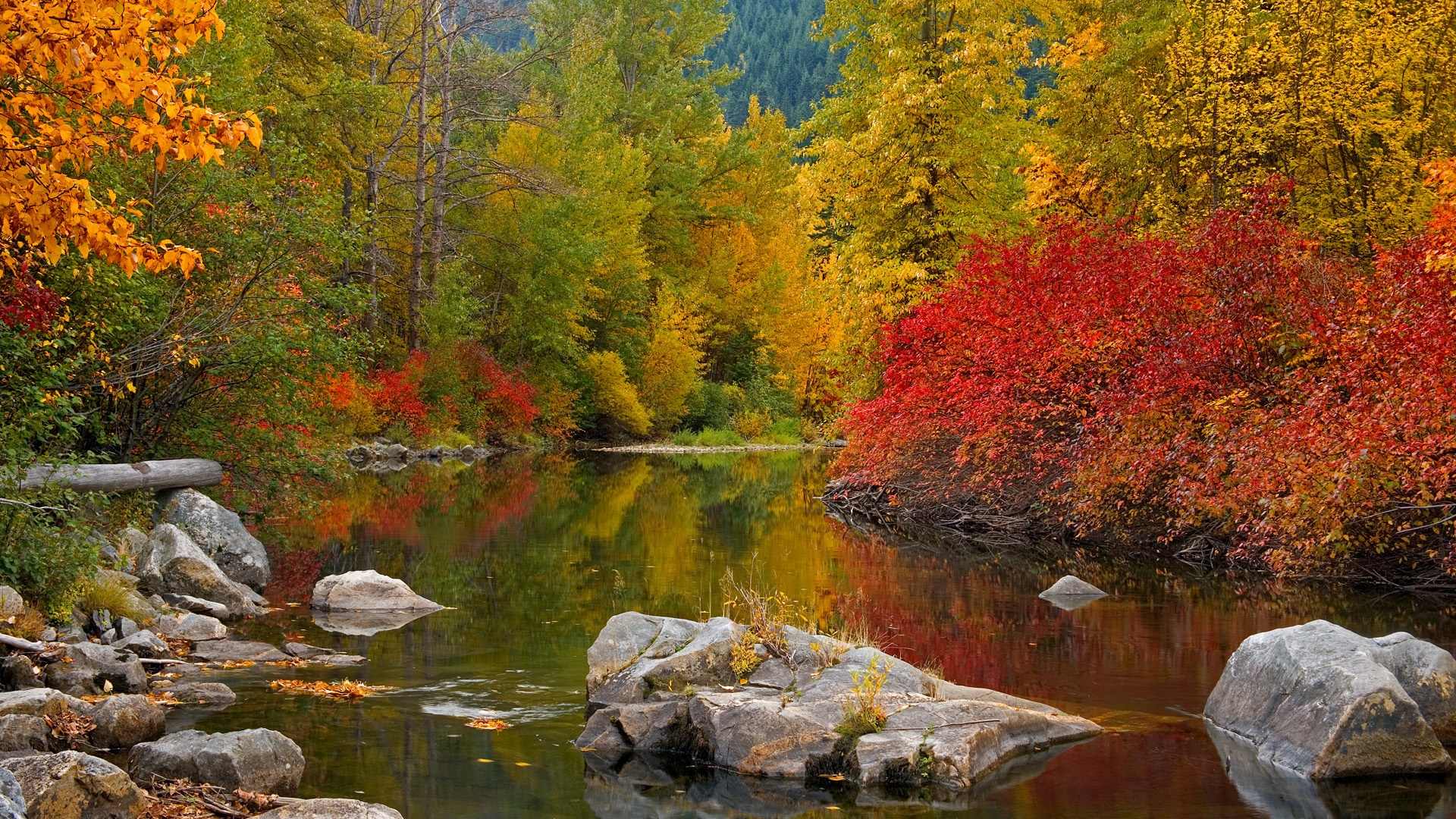 Autumn River Wallpapers