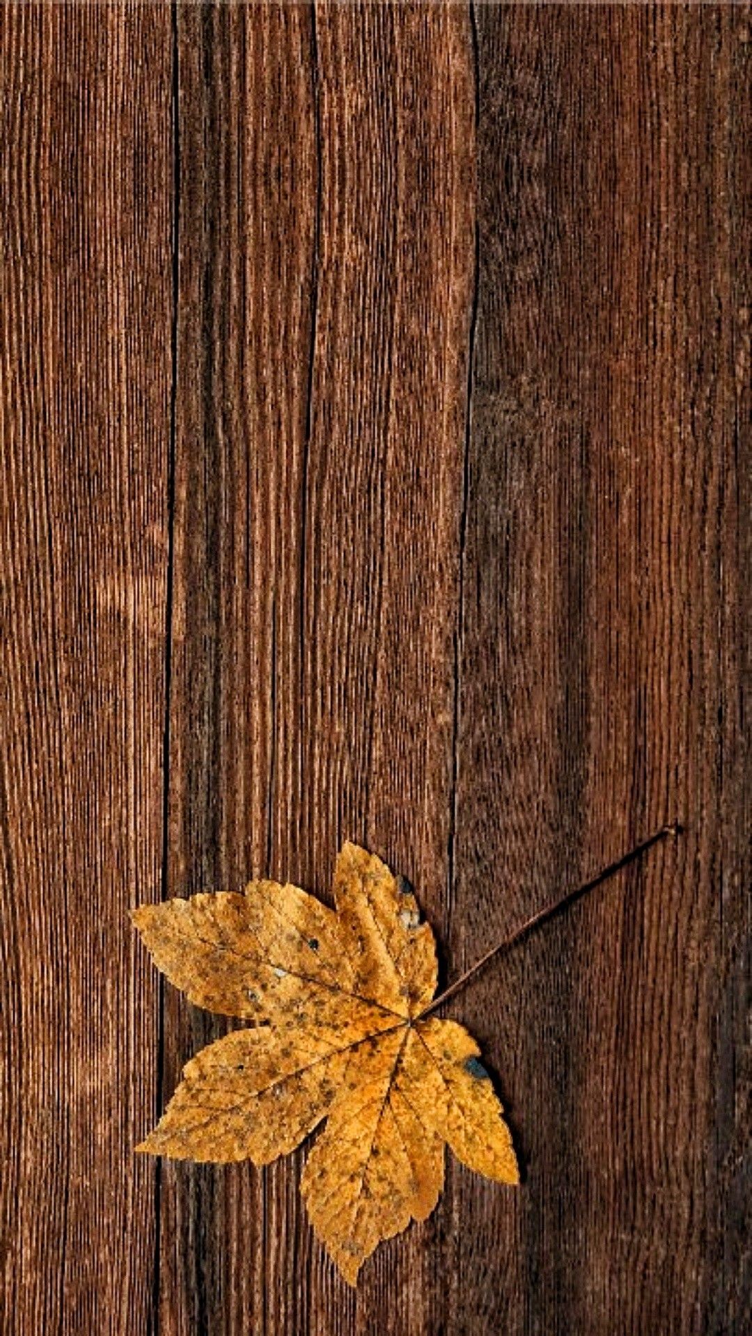 Autumn Rustic Wallpapers