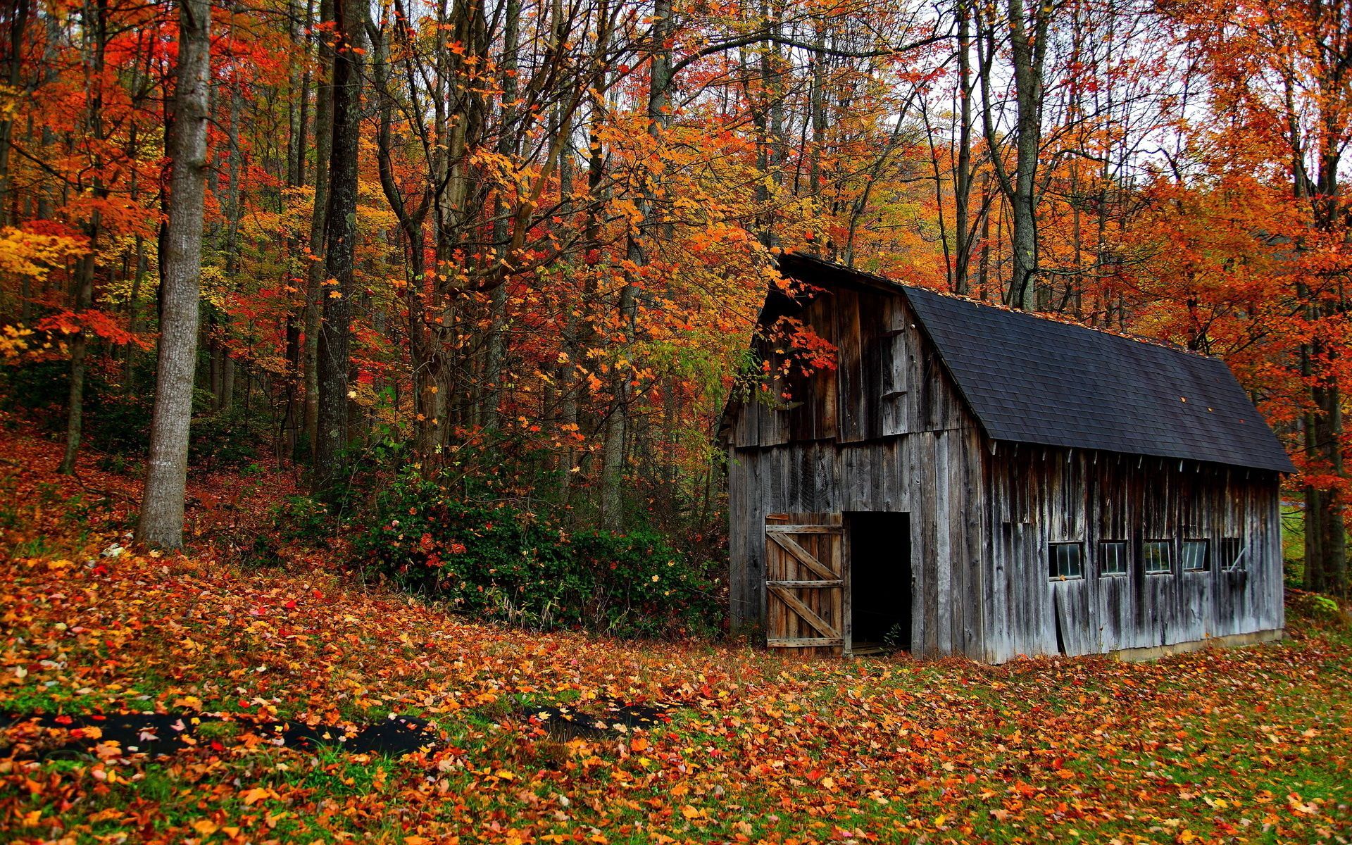 Autumn Rustic Wallpapers