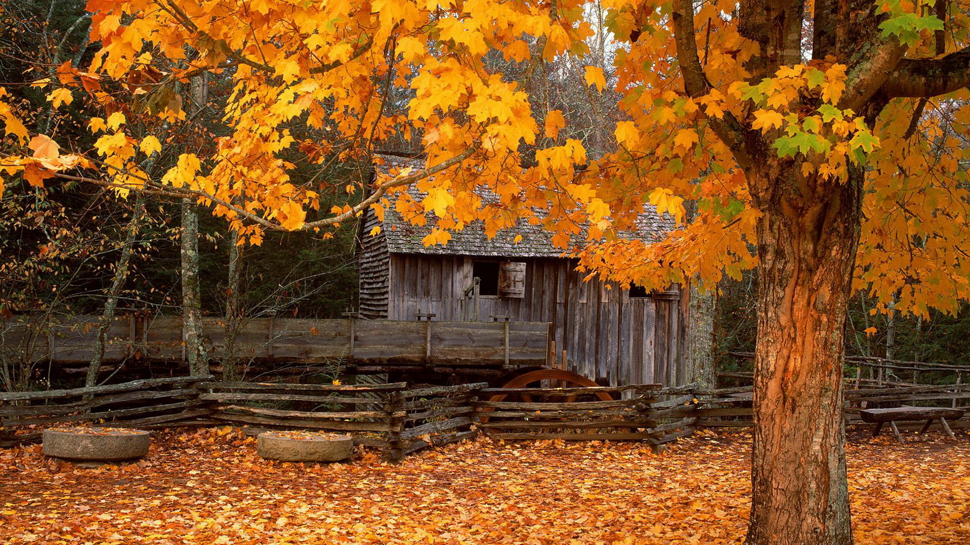 Autumn Rustic Wallpapers