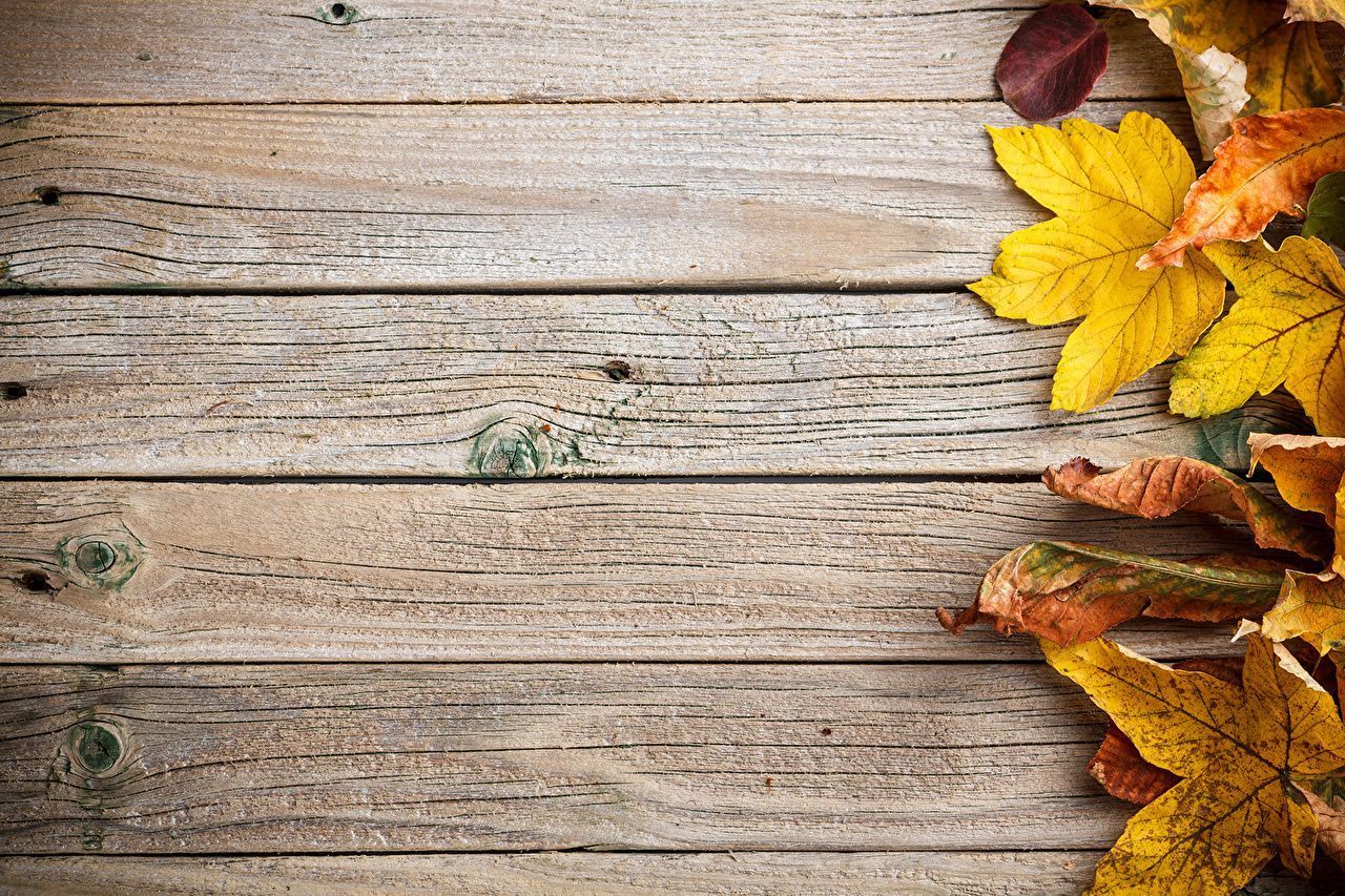 Autumn Rustic Wallpapers