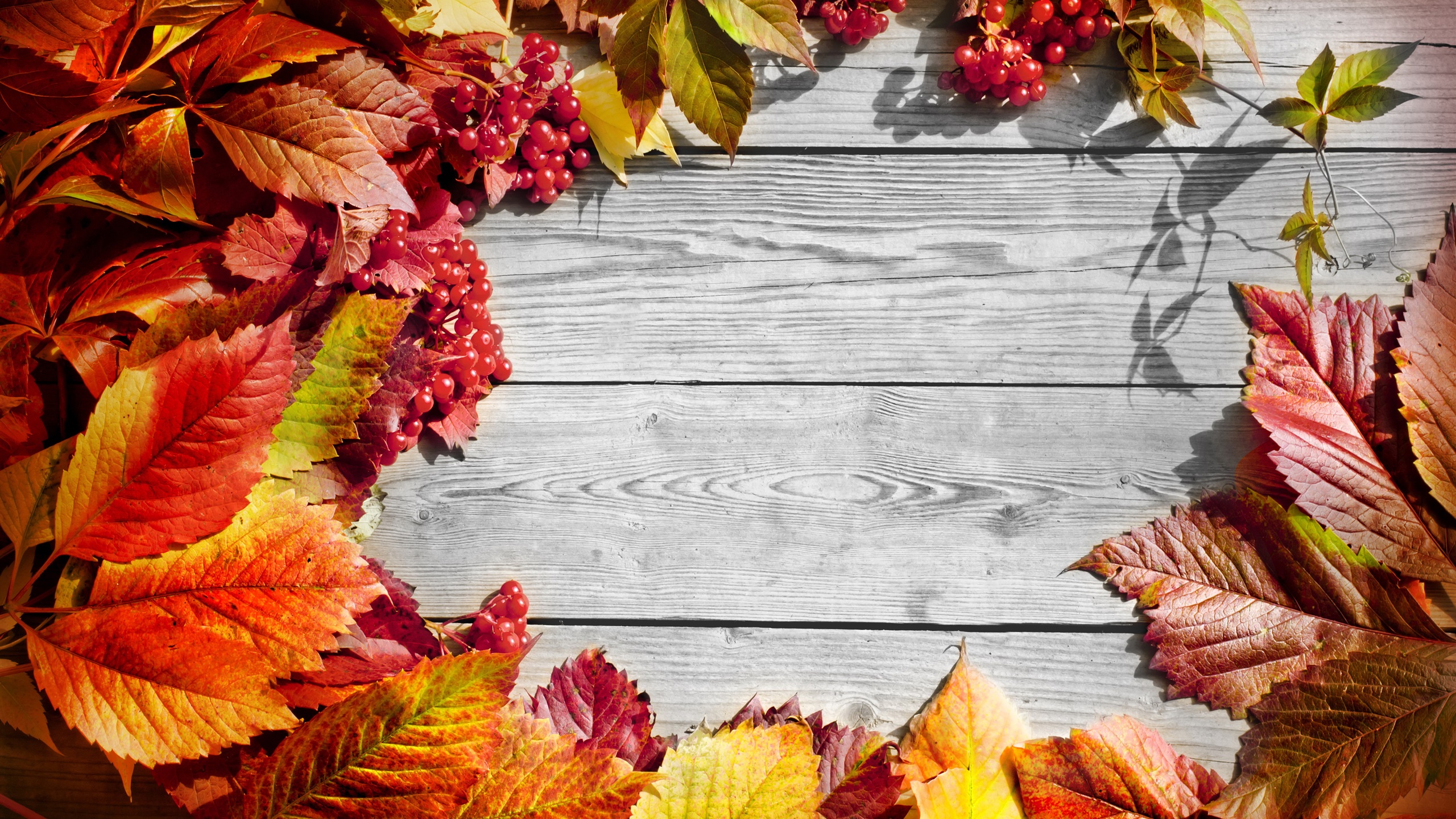 Autumn Rustic Wallpapers