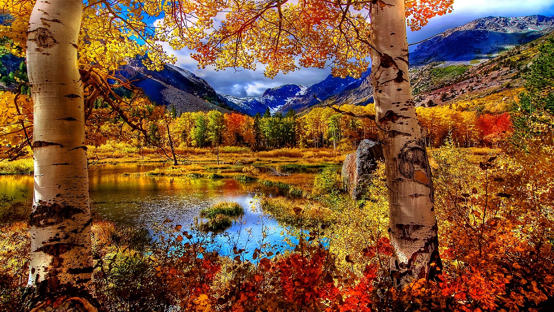 Autumn Scene Wallpapers