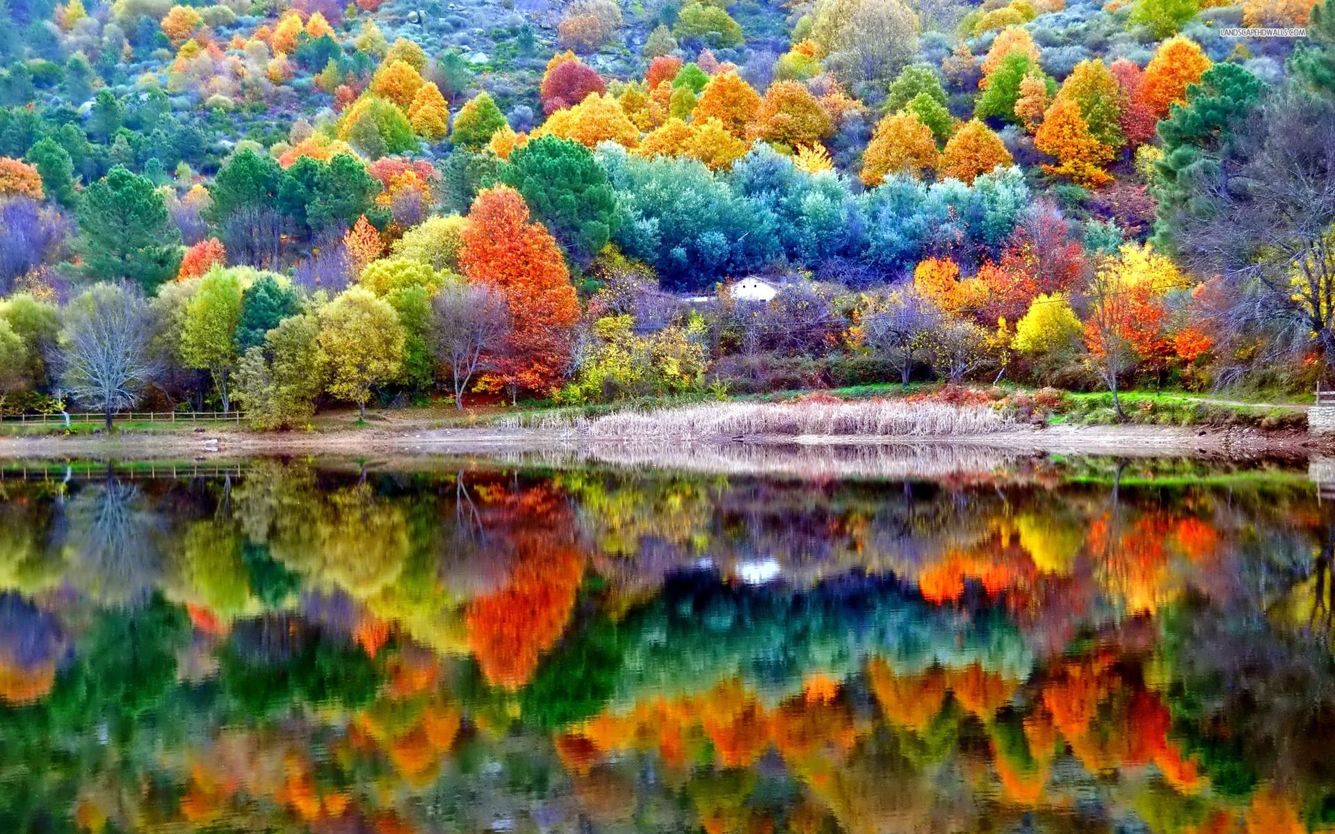 Autumn Scene Wallpapers